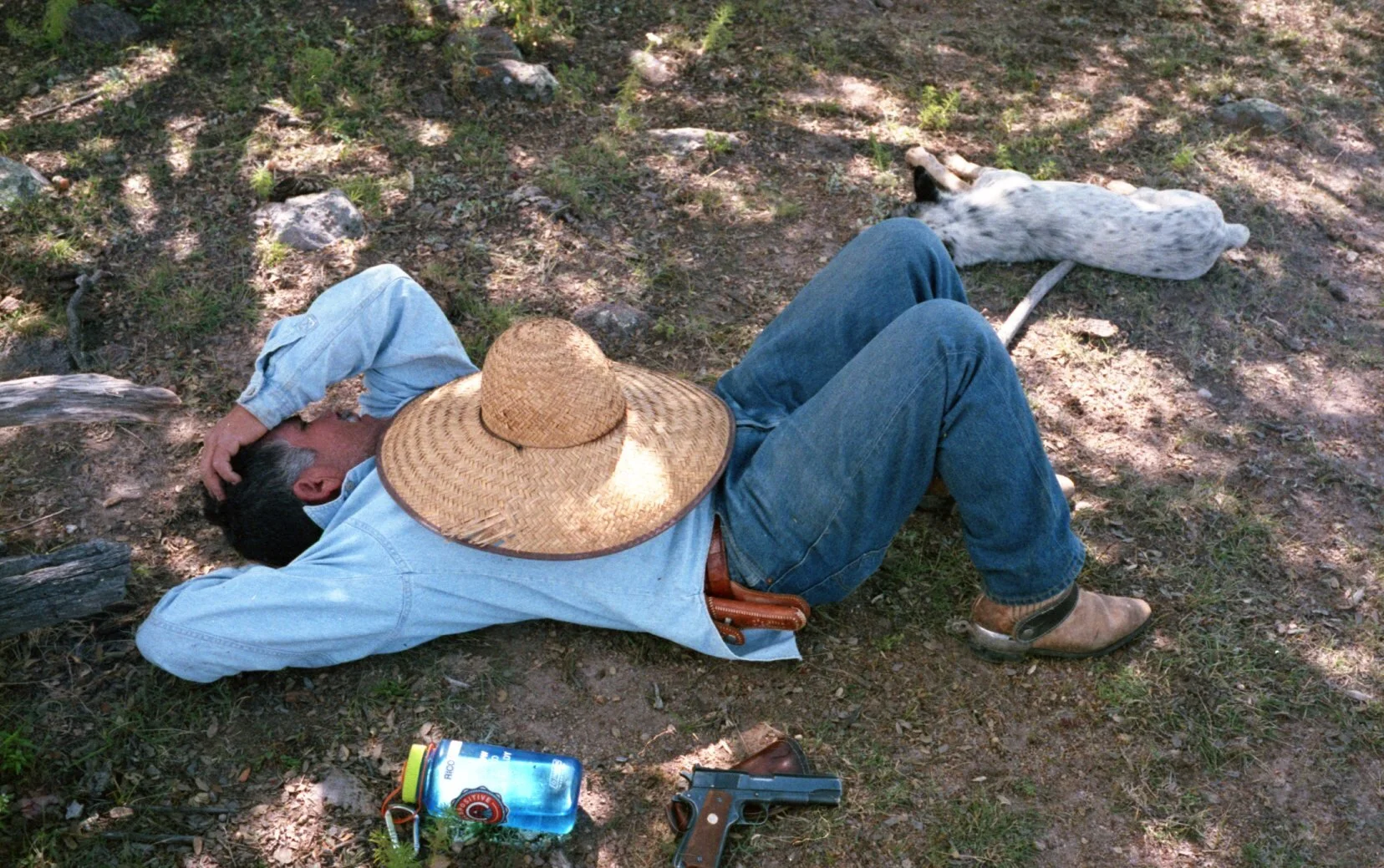 img981.jpg