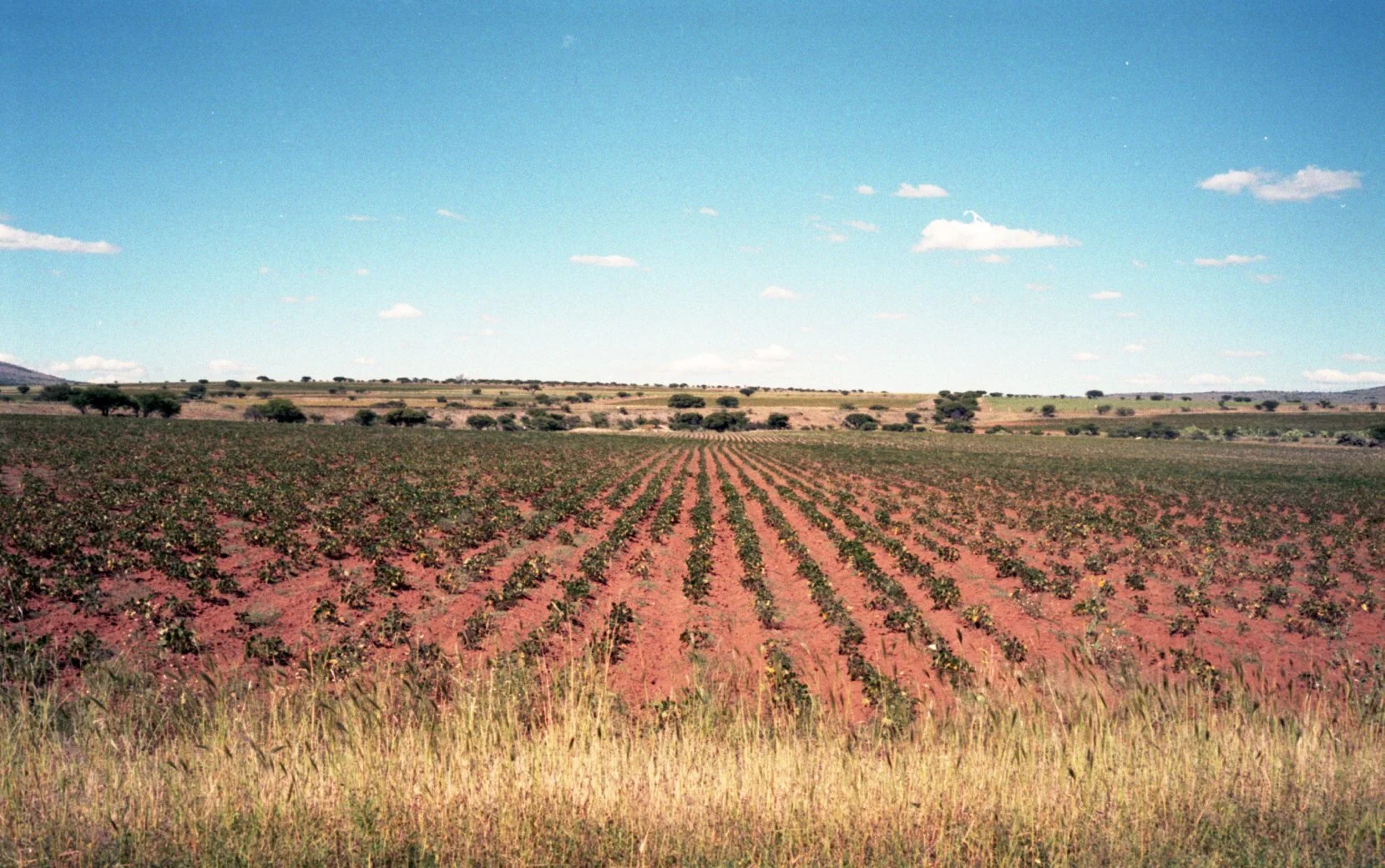 img936.jpg
