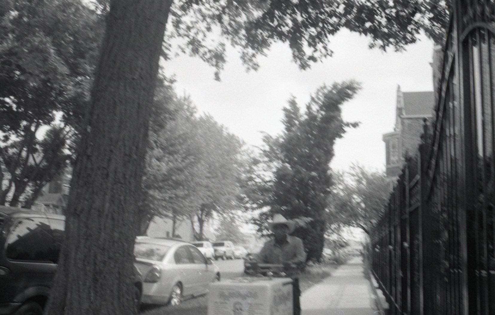 img494.jpg