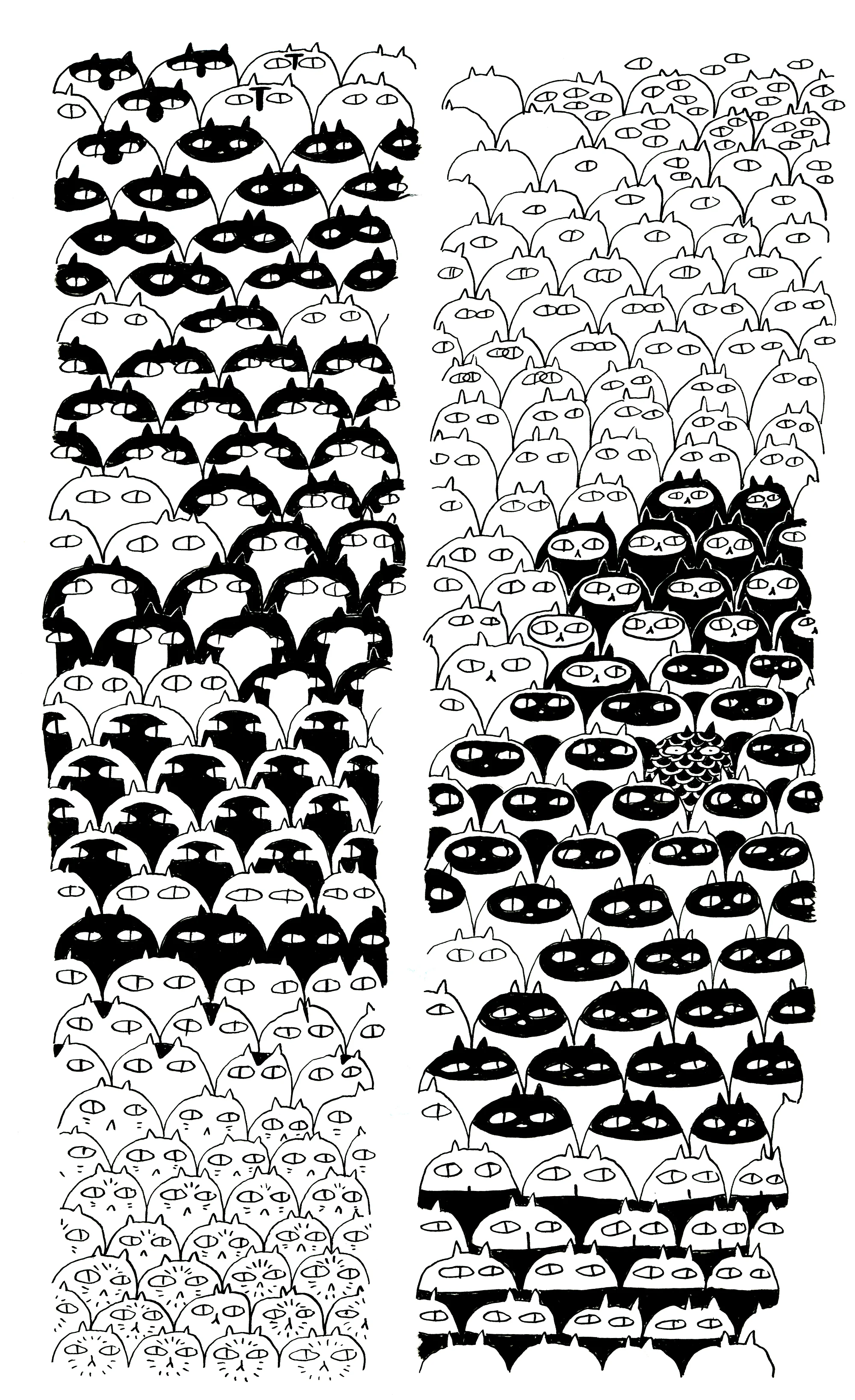 cat pattern