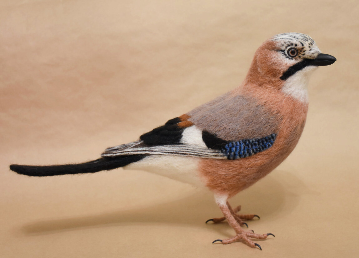2jay2_2.jpg