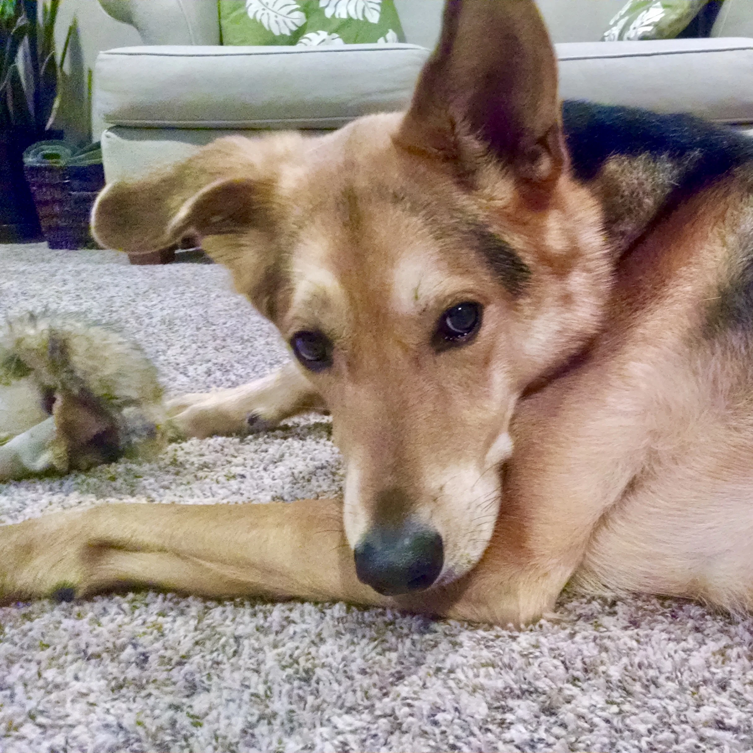 The Unexpected Beauty of Divorce