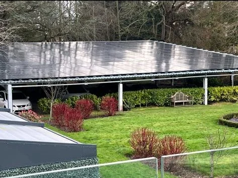 IMG-20240110-WA0006.jpg
