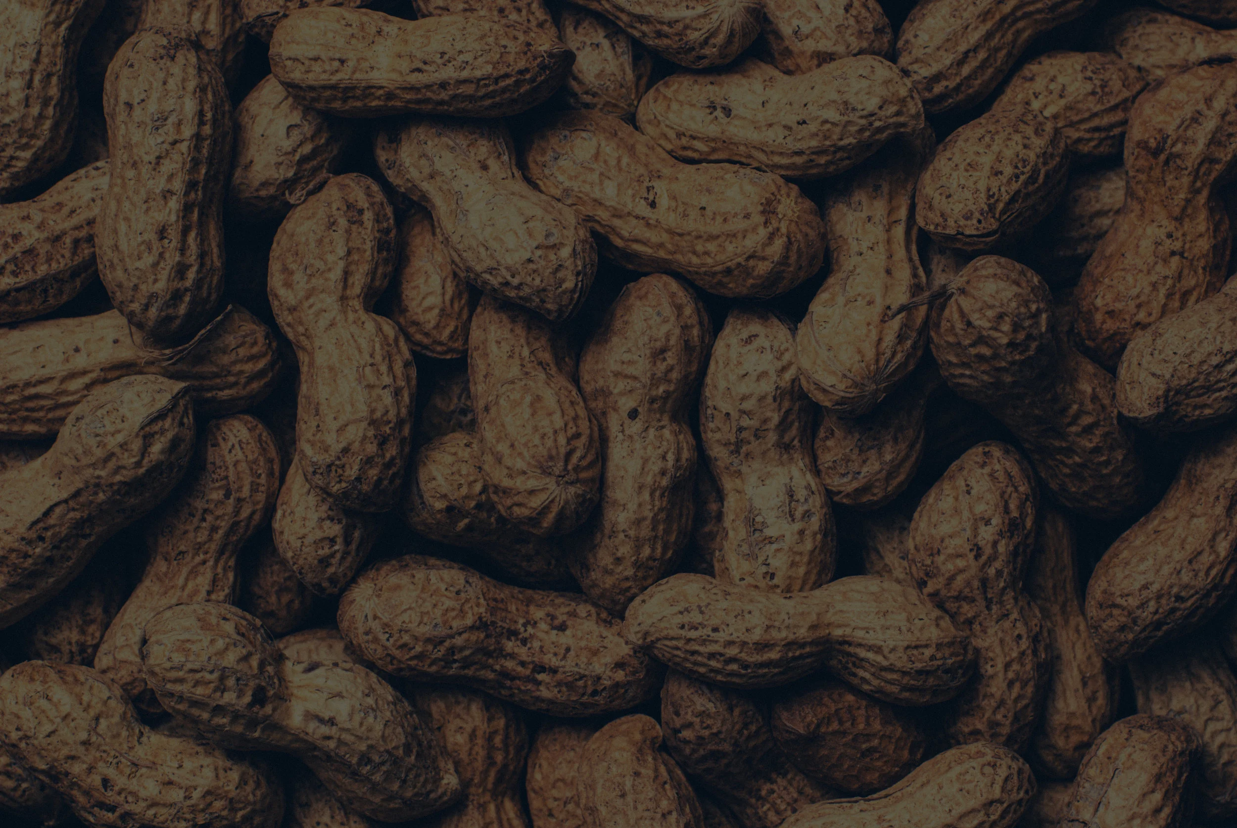 Peanuts.jpg