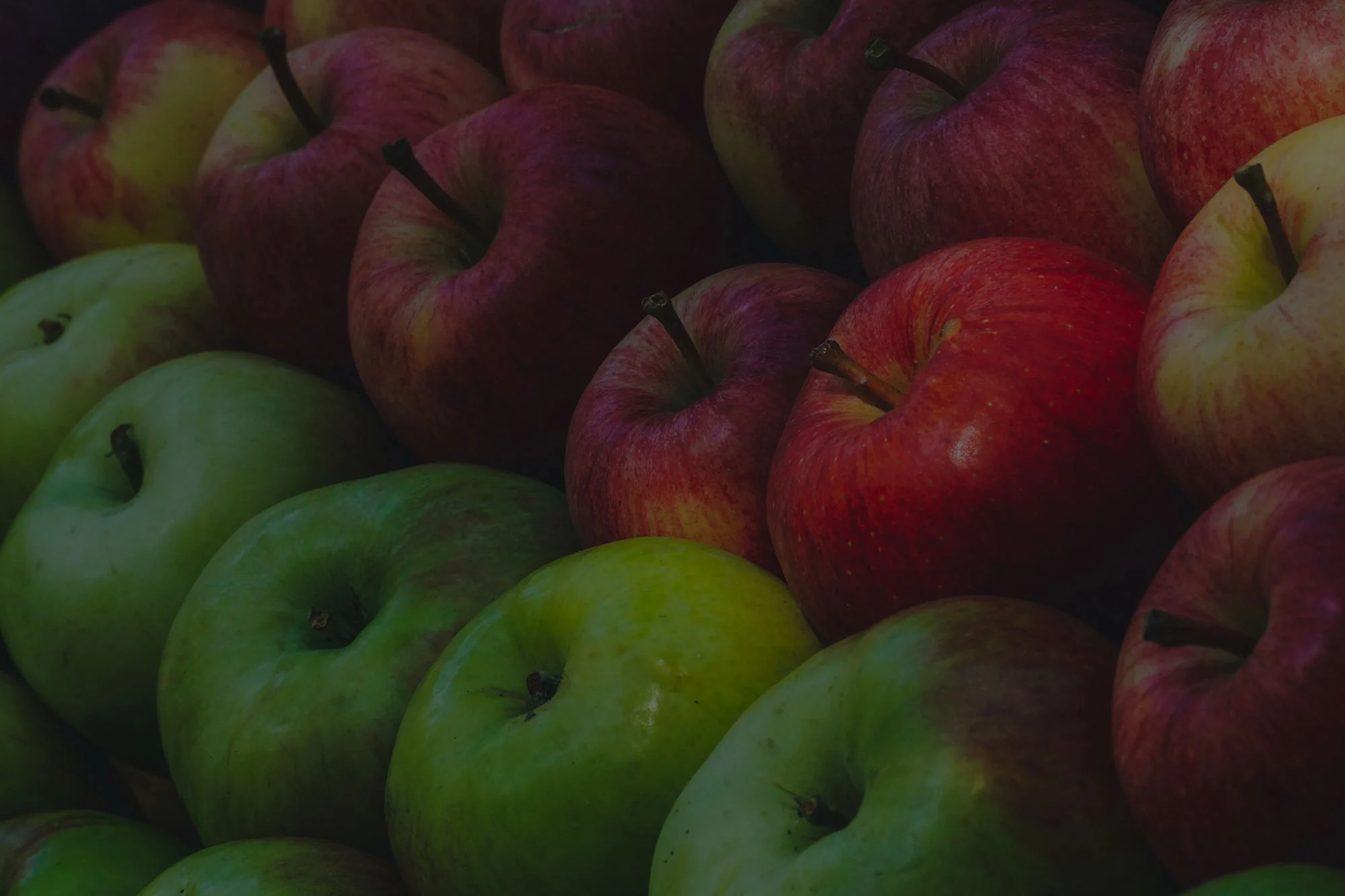apples.jpg