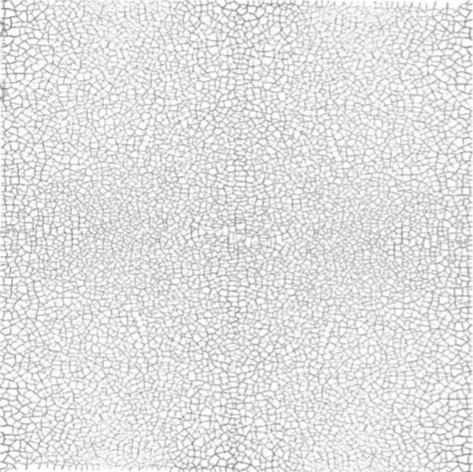 20180723_173916.jpg