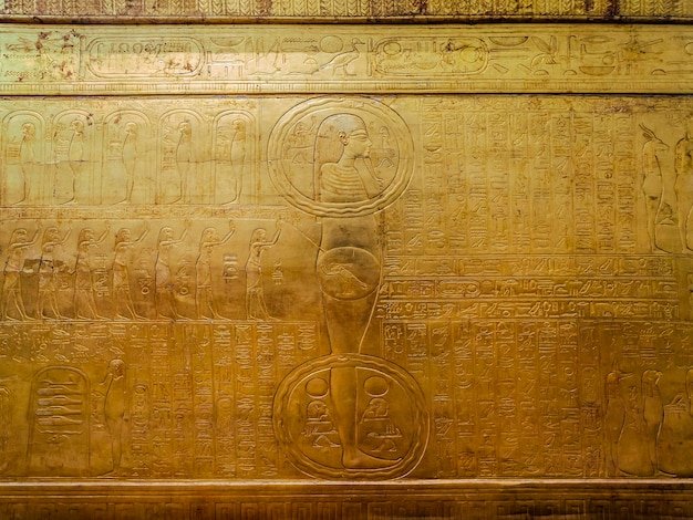 drawings-hieroglyphs-gilded-wooden-box-which-tutankhamun-sarcophagus-was-found-egypt-cairo_268419-900.jpg