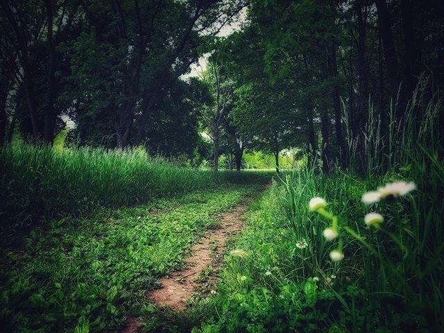 For the first time in twelve years, I am not farming and I have 🇫​🇷​🇪​🇪 ​ 🇹​🇮​🇲​🇪​ in the summer. It is bittersweet, of course, but I am doing my best to embrace my circumstances and seize the opportunity to just be in nature. Just be. Wow, t