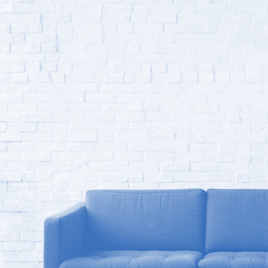 duotone (46).png