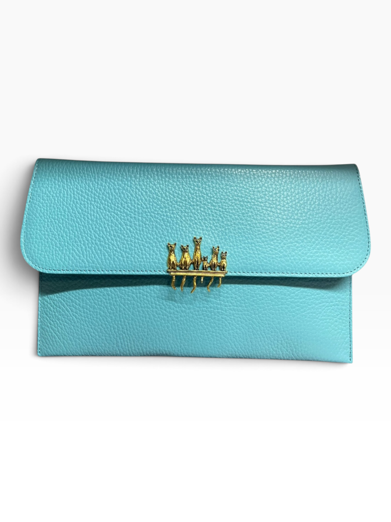 Strelitzia- Turquoise Cats