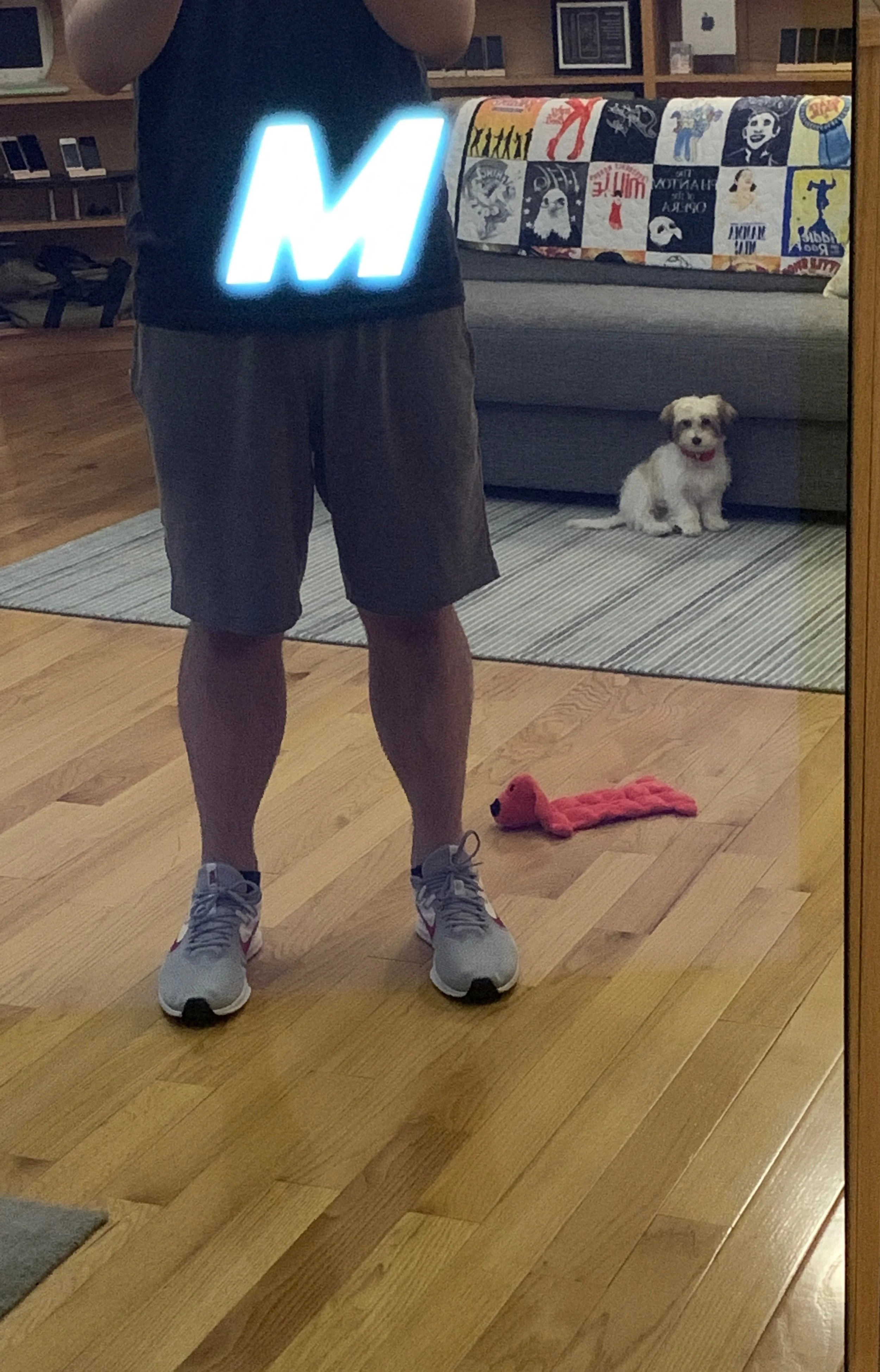 Dolly 2.jpeg