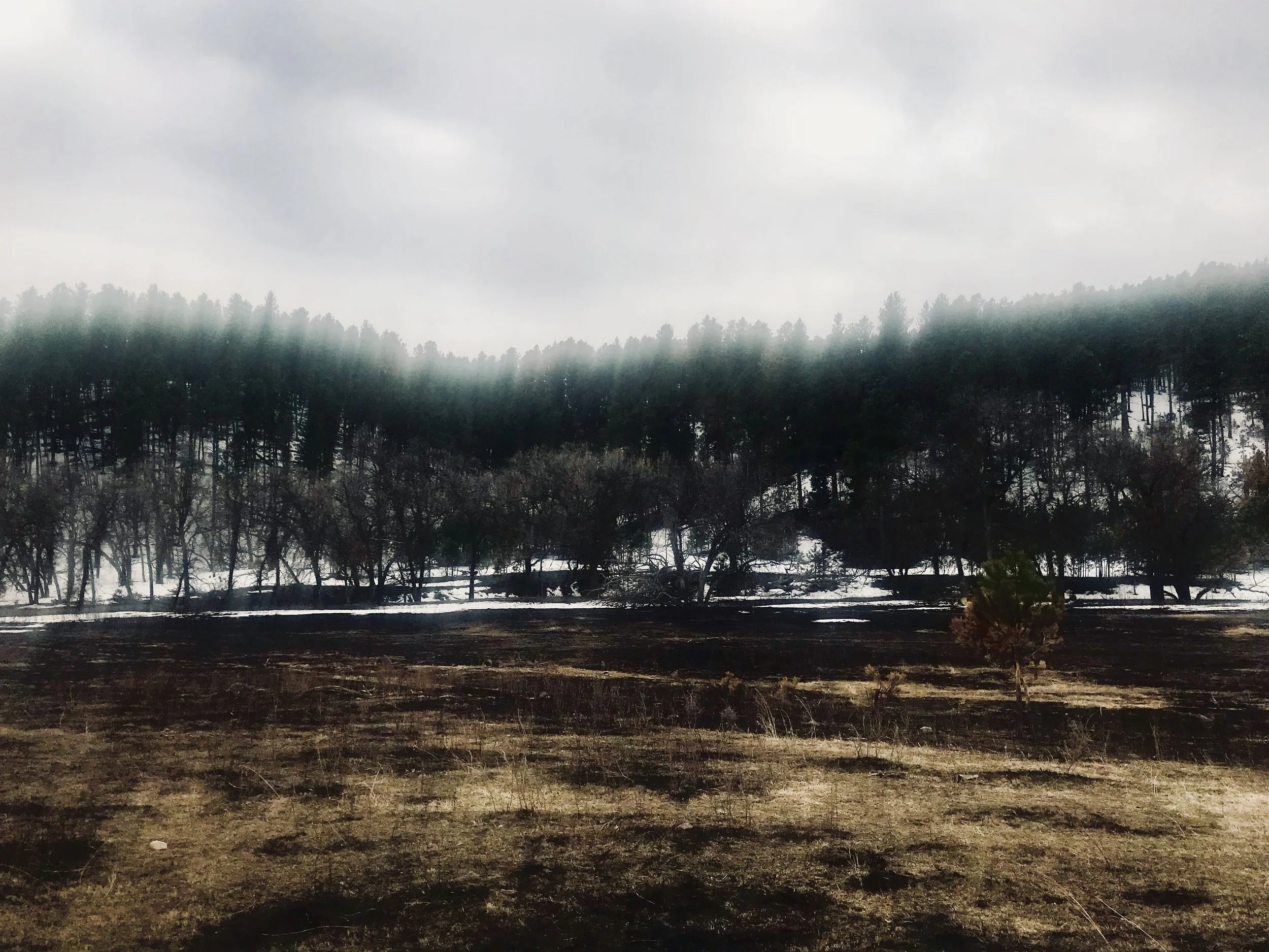 Black Hills