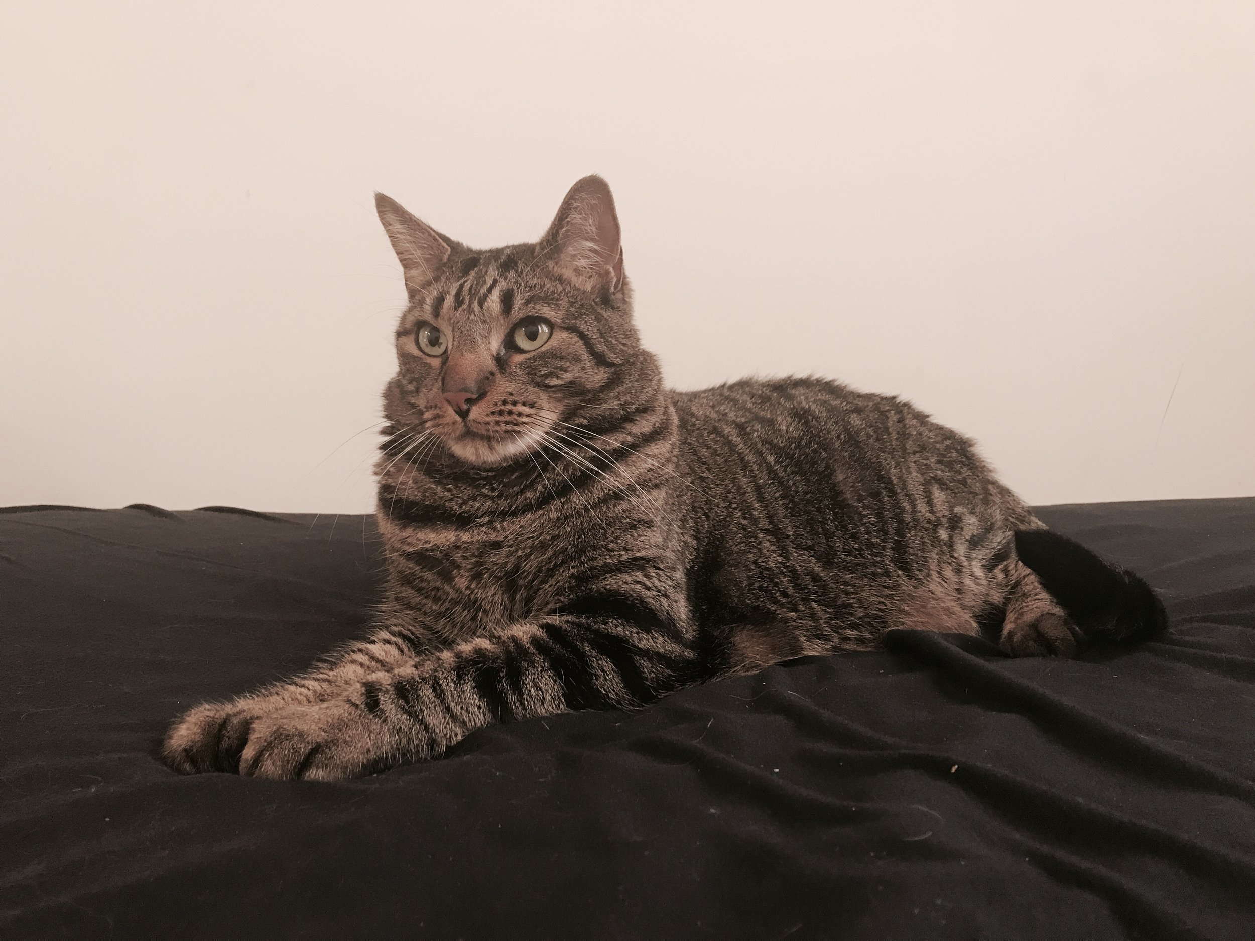 Peculiar Children II