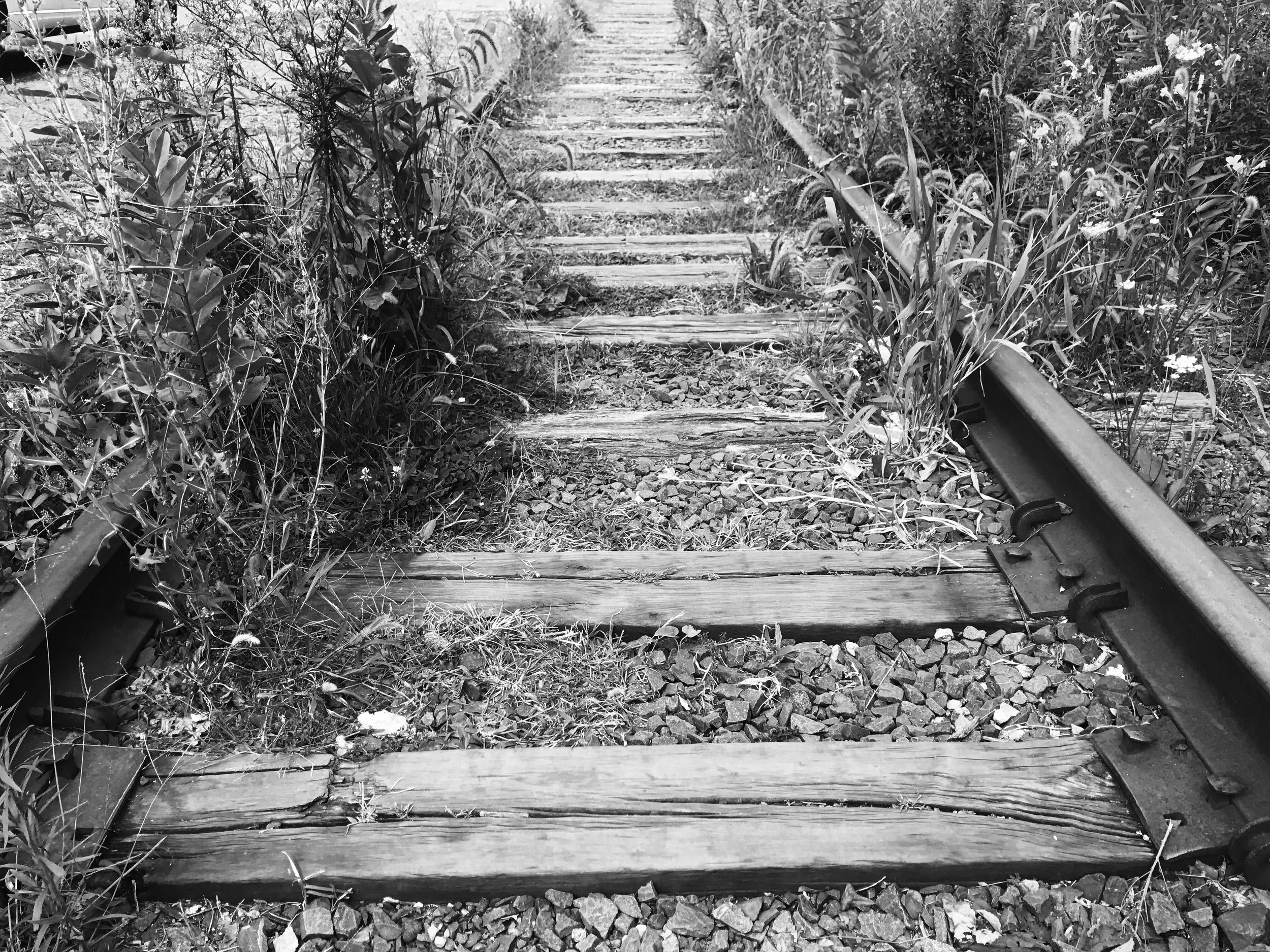 Neglected