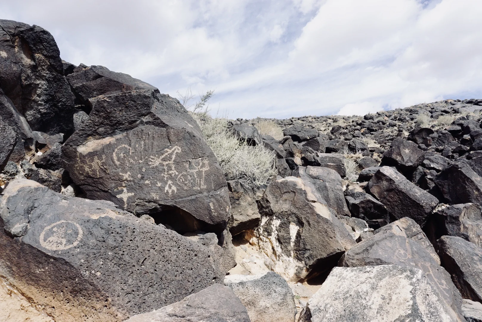 Petroglyphs National Monument, NM