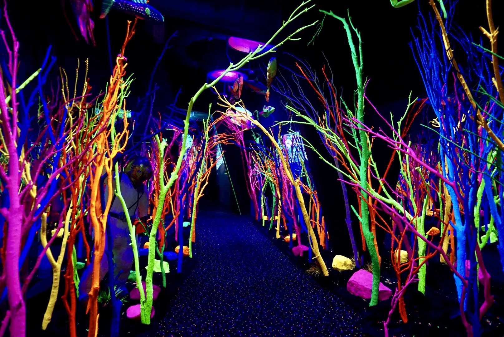 Meow Wolf, NM