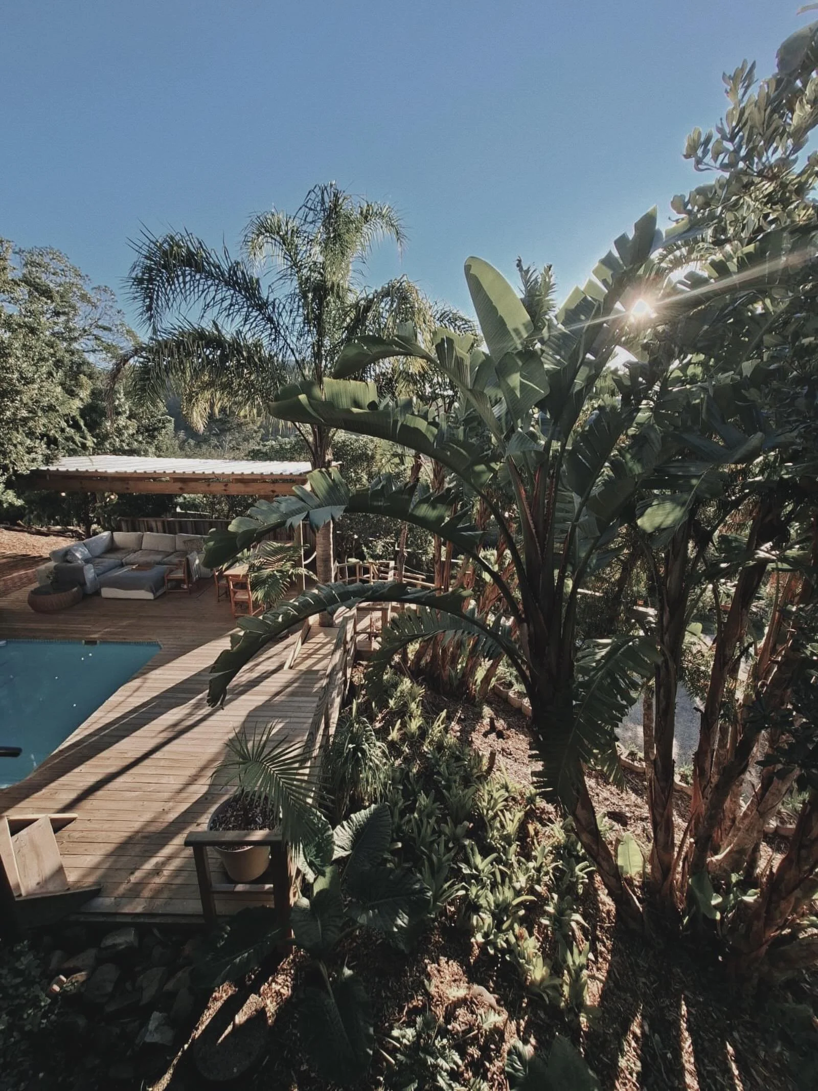 Sunlight through the palms and gentle water.
Is there anywhere else you would rather be?

#calmness #relax #celebration #forestspa #specialoccasion