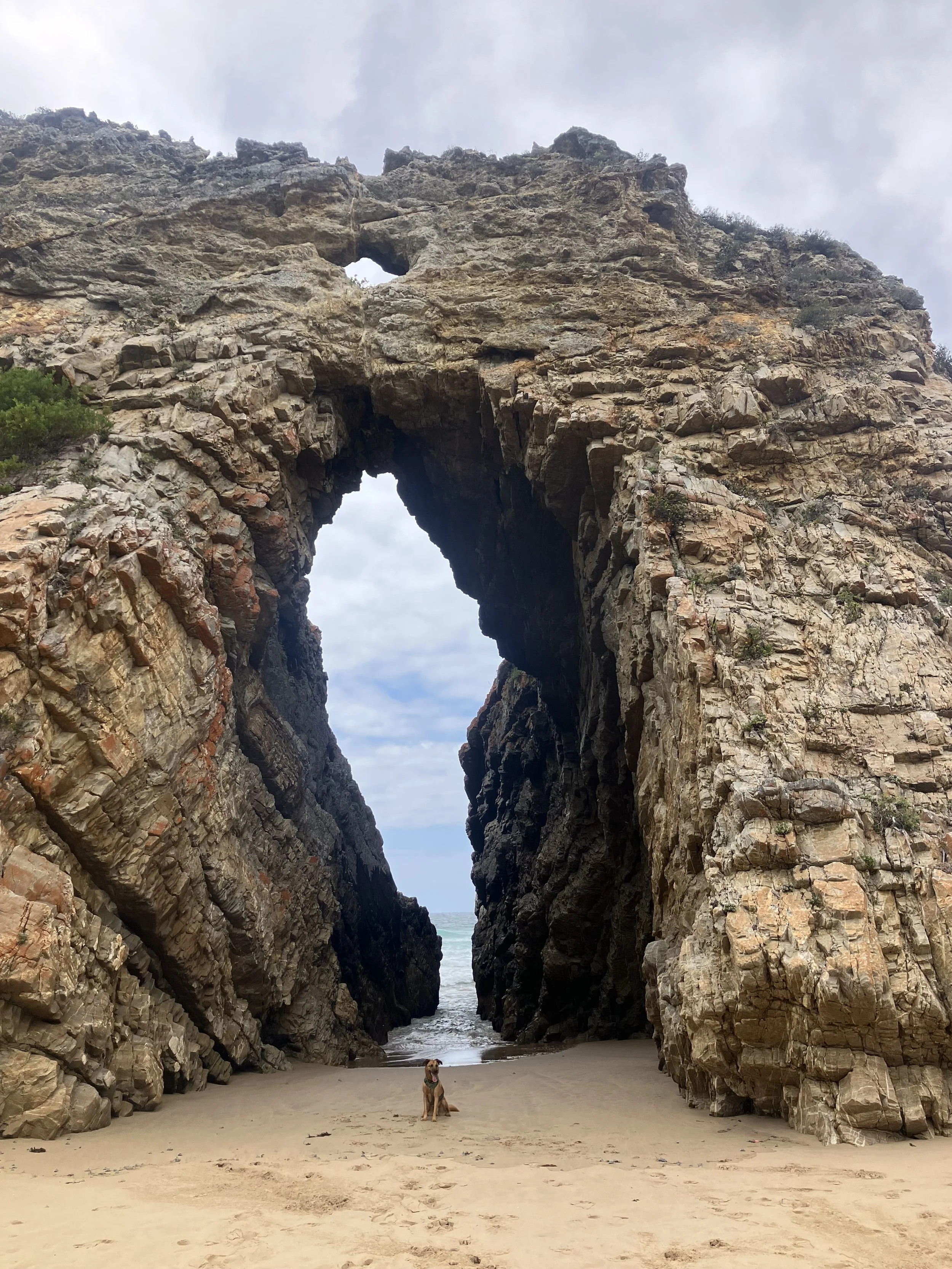 Hidden gems in Plettenberg Bay you don’t want to miss