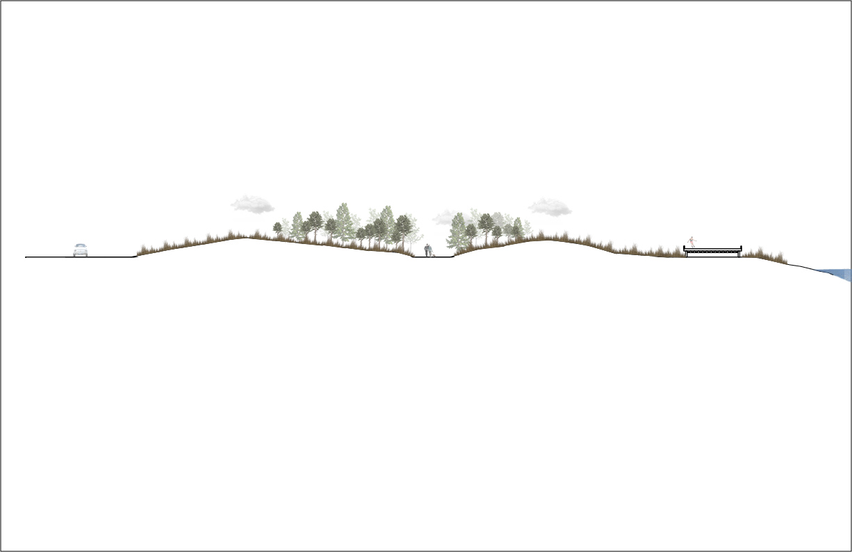 dune1 section... done.jpg
