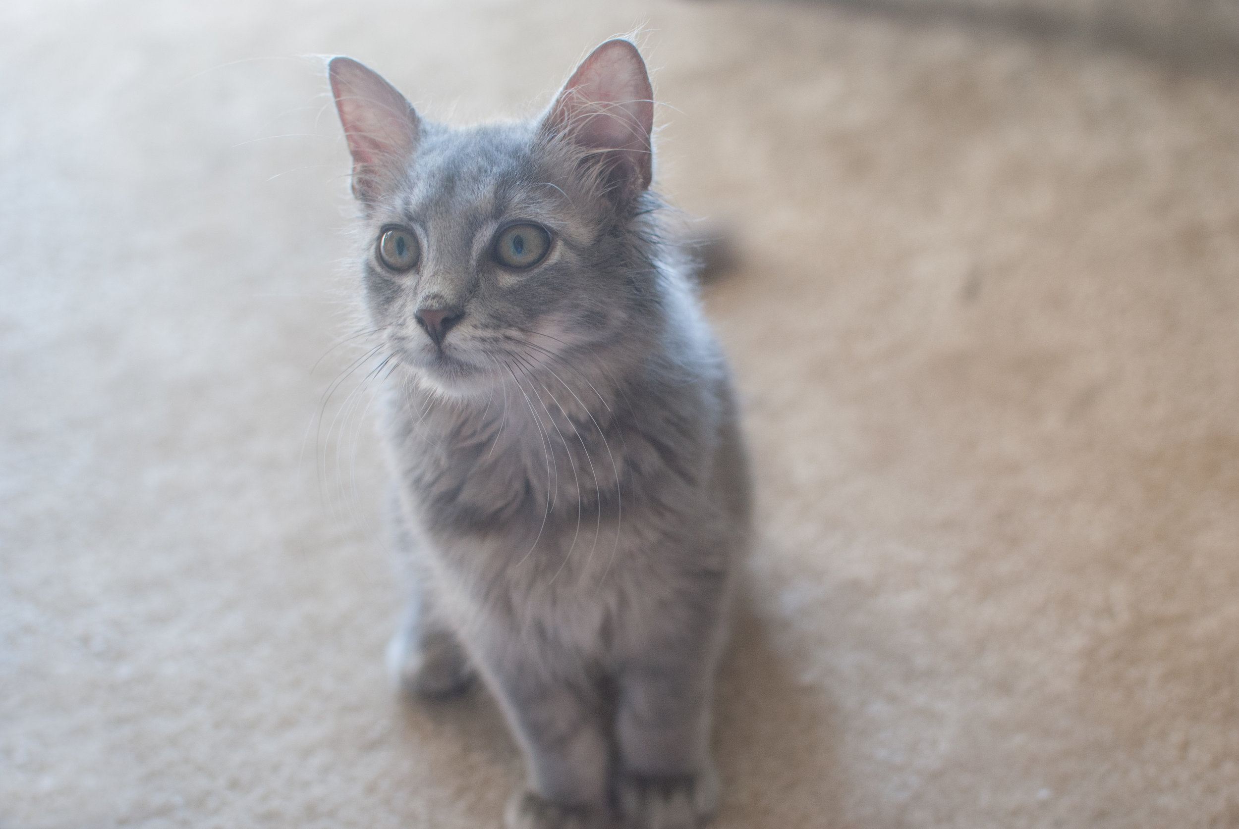 DSC_1885.jpg