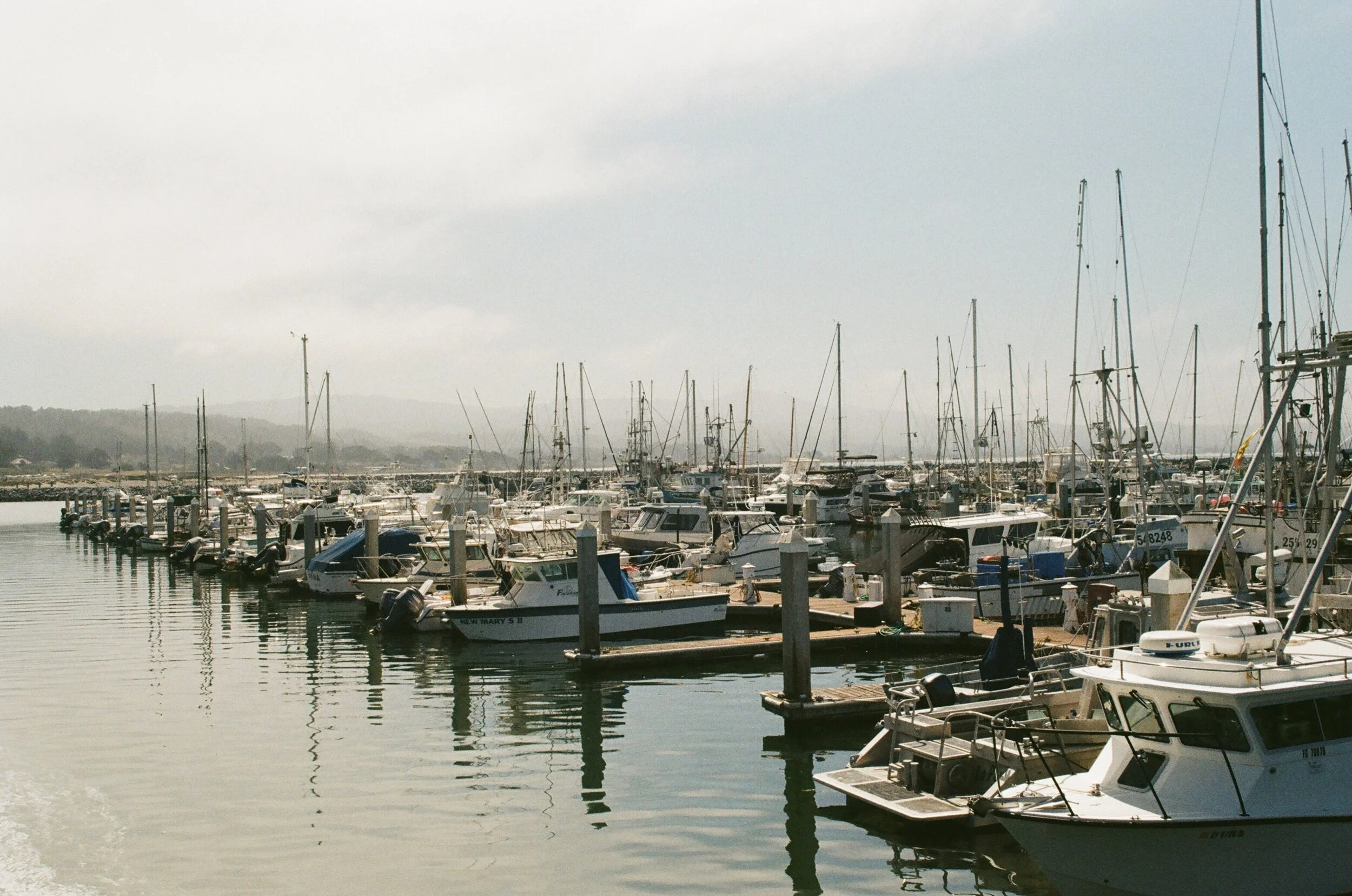 6D9F7336-E171-43F5-9058-903D6C820113.jpeg