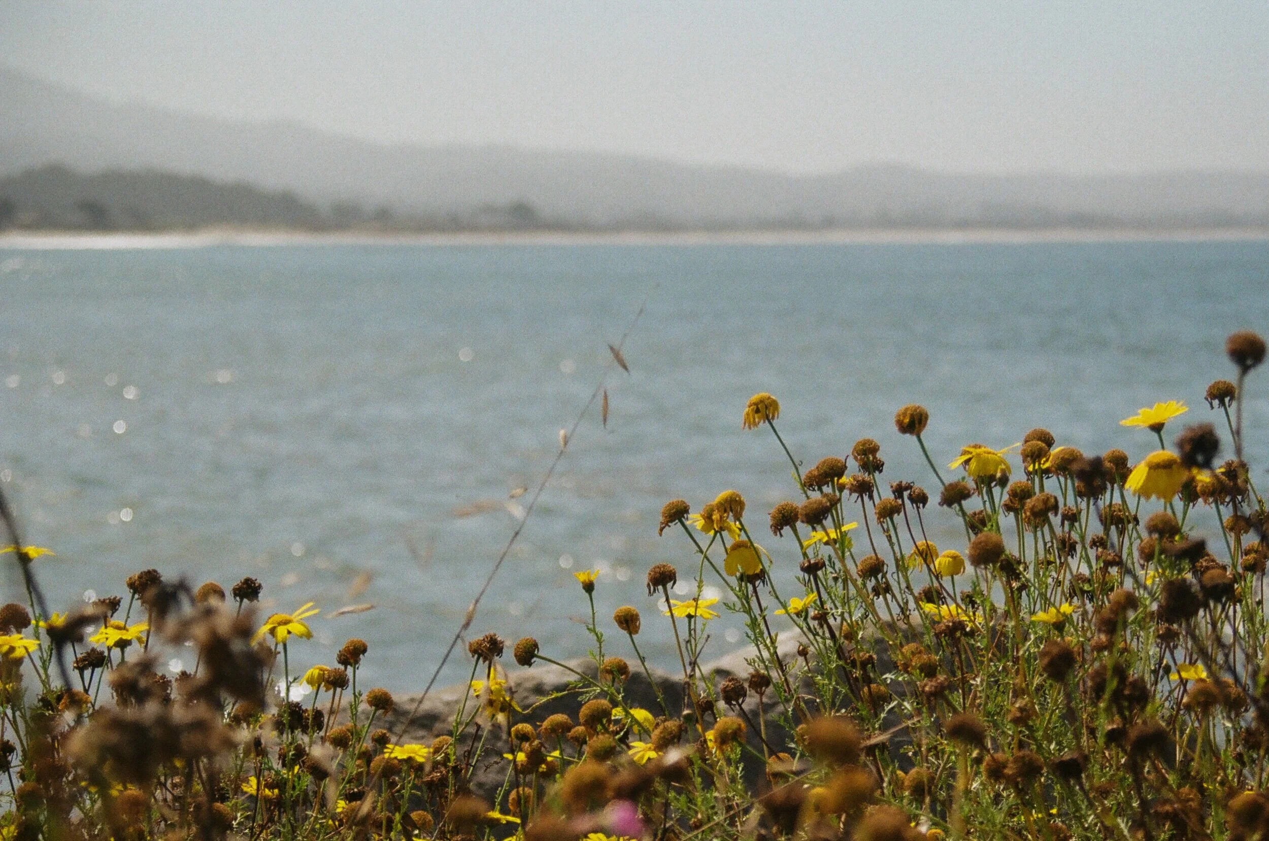 A635F318-6C7C-4437-948C-7059DF2B2F84.jpeg