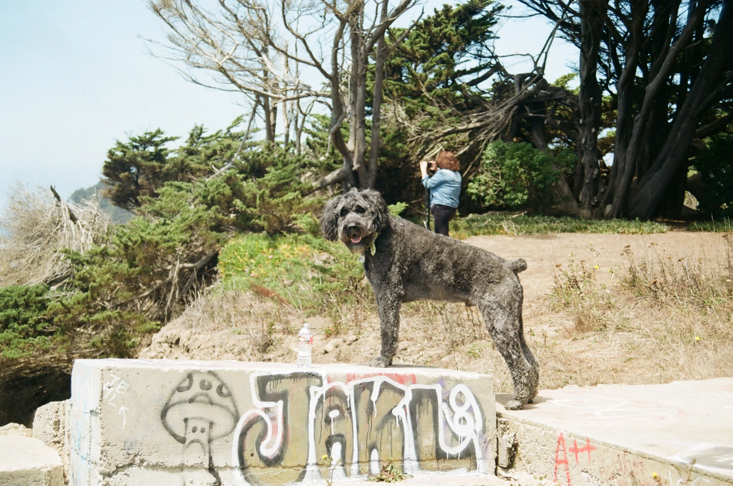 70D35769-E19A-4E54-ACDD-4E6CCDD2E020.jpeg