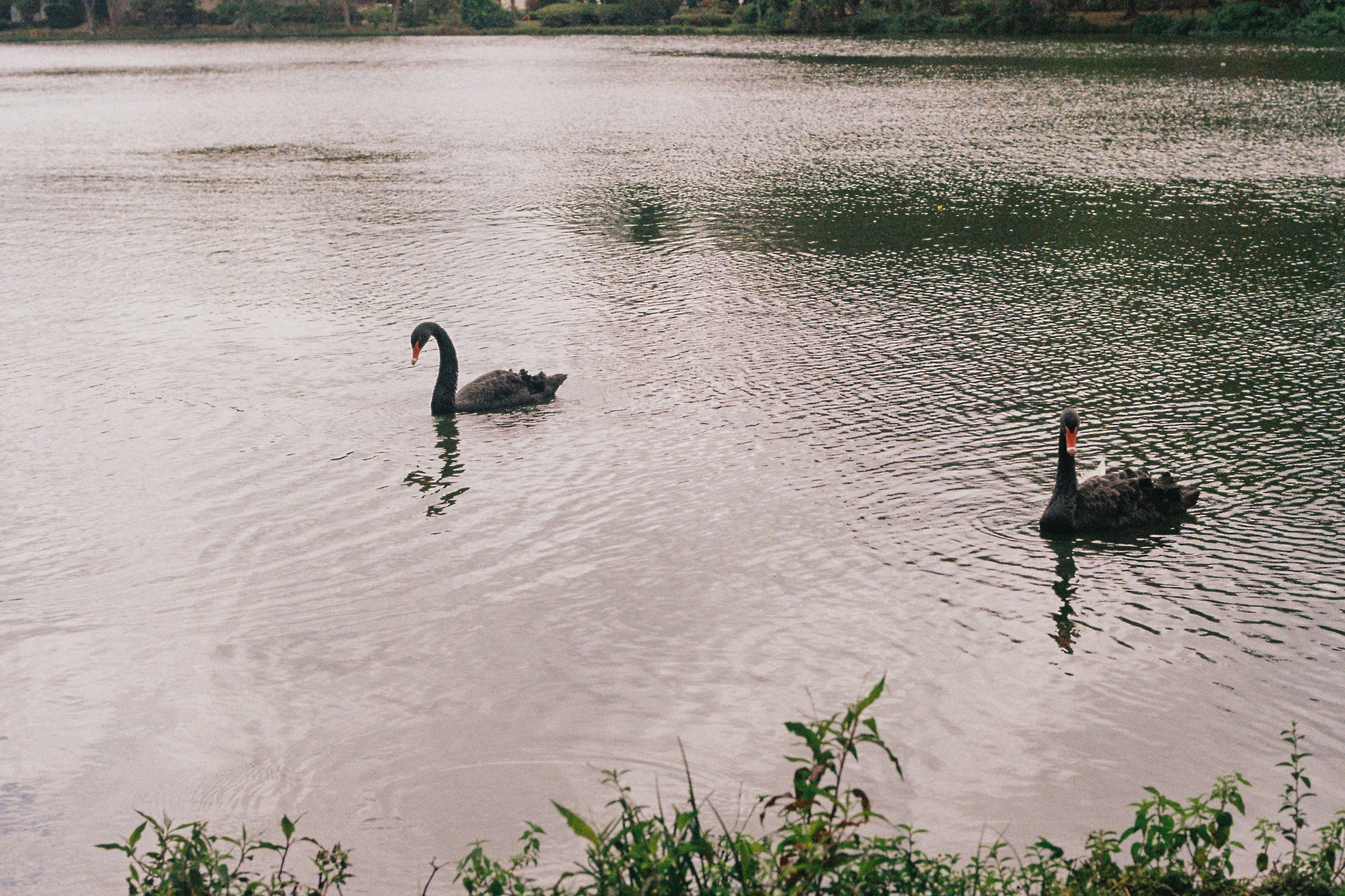 B4805A7E-66BB-4040-A5FD-F6666BDD1958.jpeg