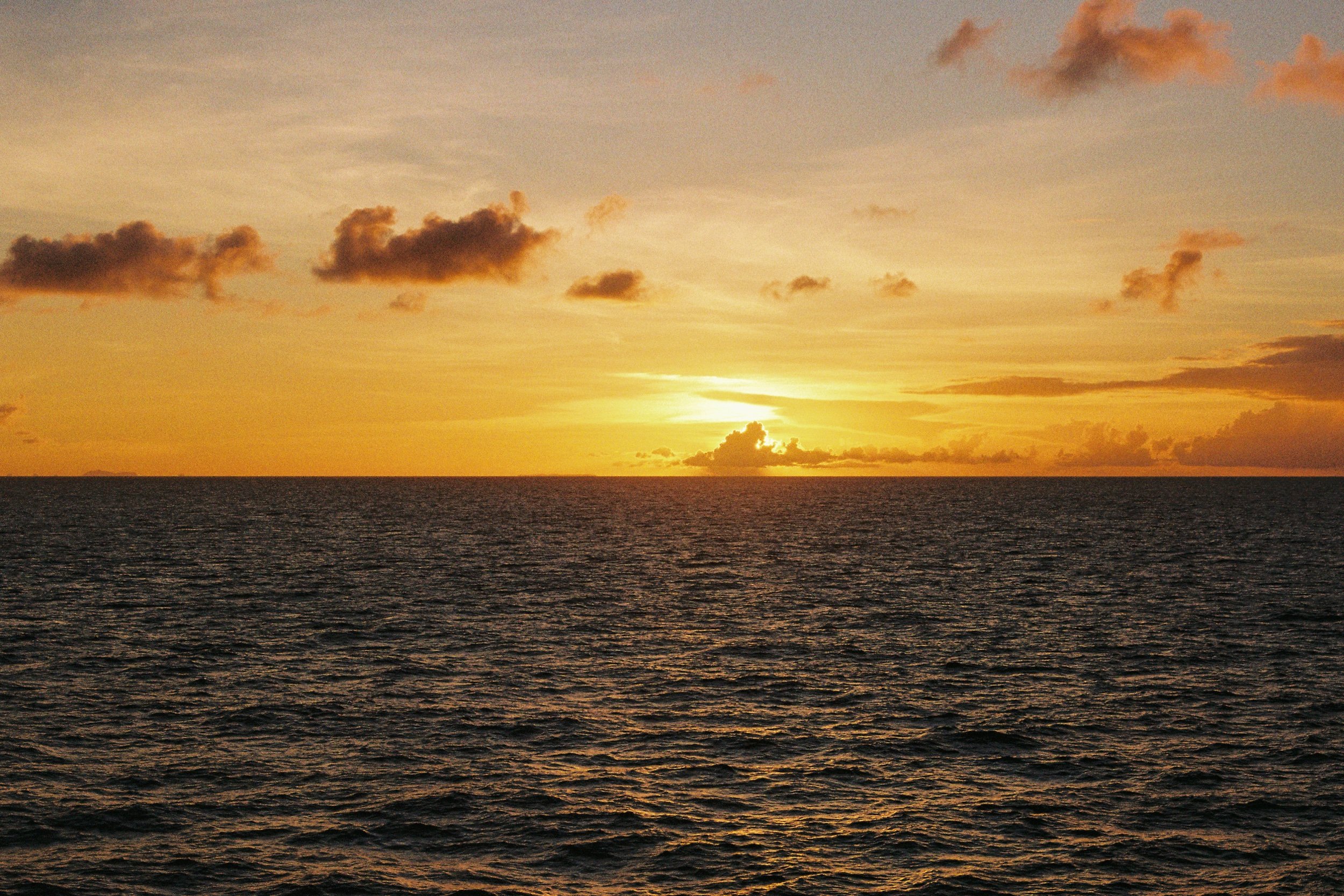 cruise, cats, and the Caribbean