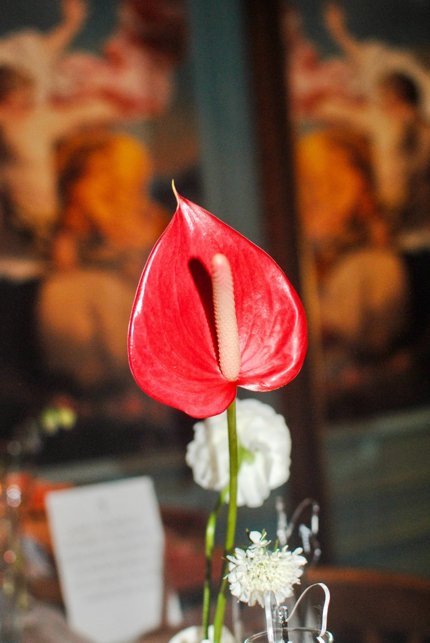 DSC_0180.jpeg
