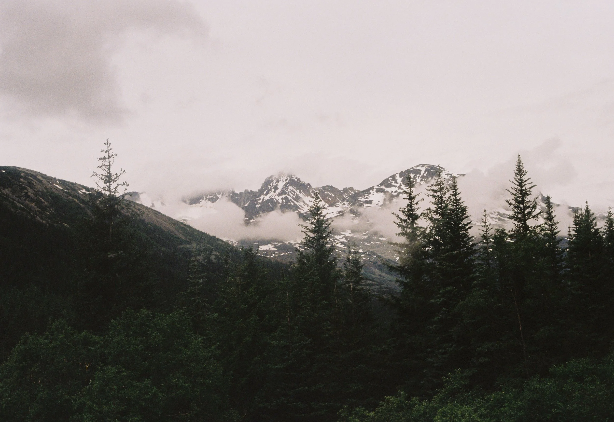 LeonorWill009775-R1-032-14A.jpeg