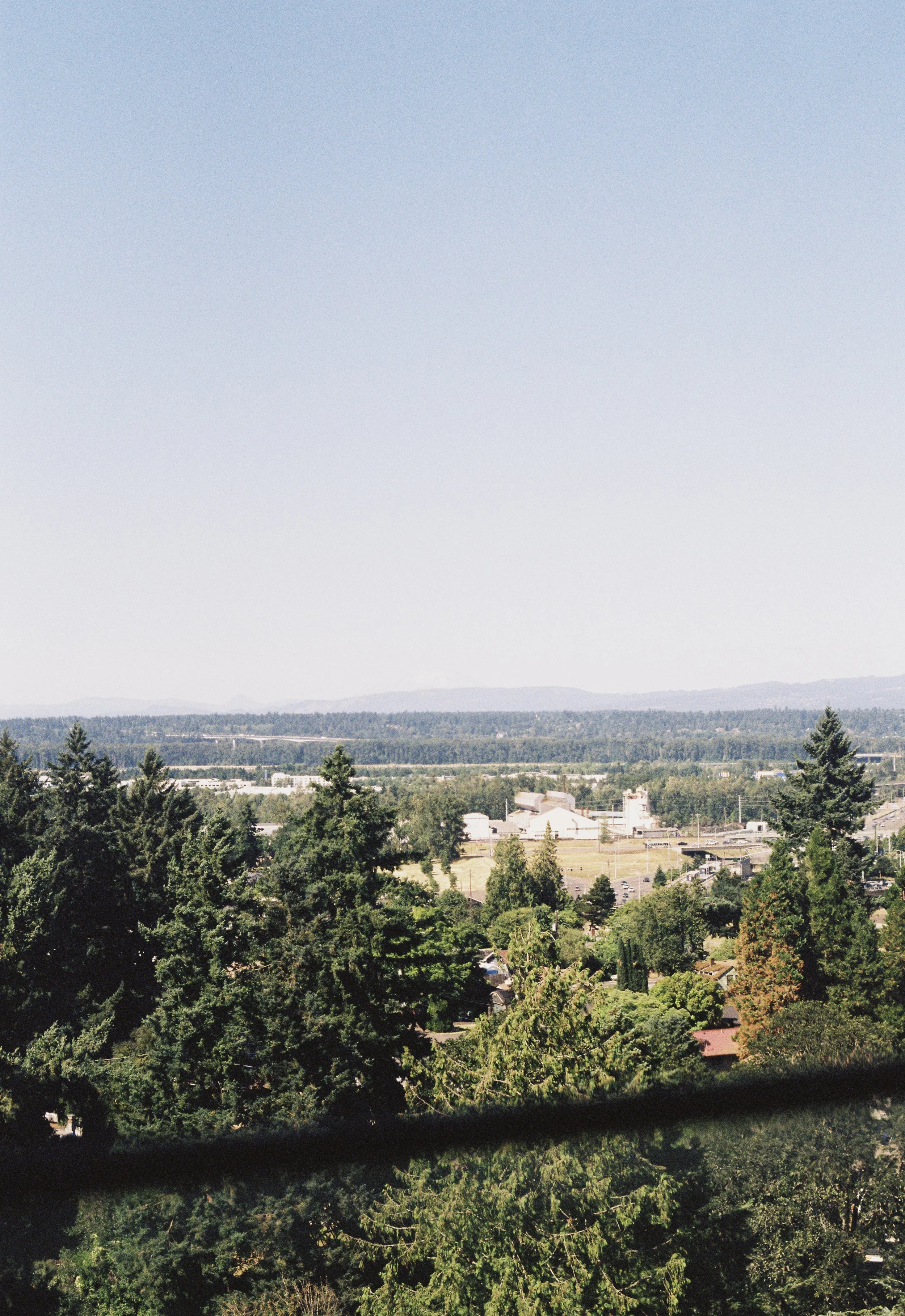 LeonorWill009777-R1-043-20.jpeg