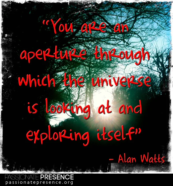 PPCCE-Quote-AlanWatts-You-are-an-aperture-through-V2-e1367580545369.jpg