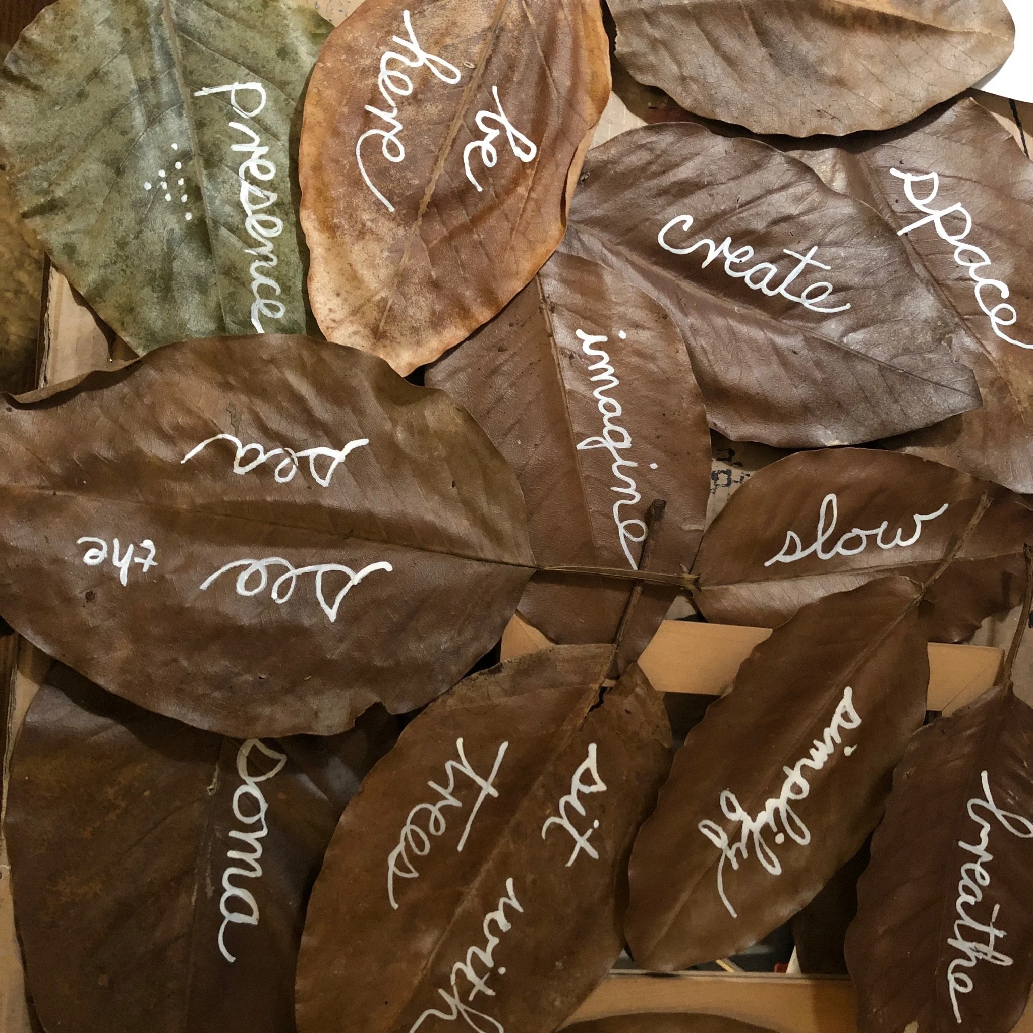  Wandering Vegus Health bunting art  by Katheryn M. Trenshaw  