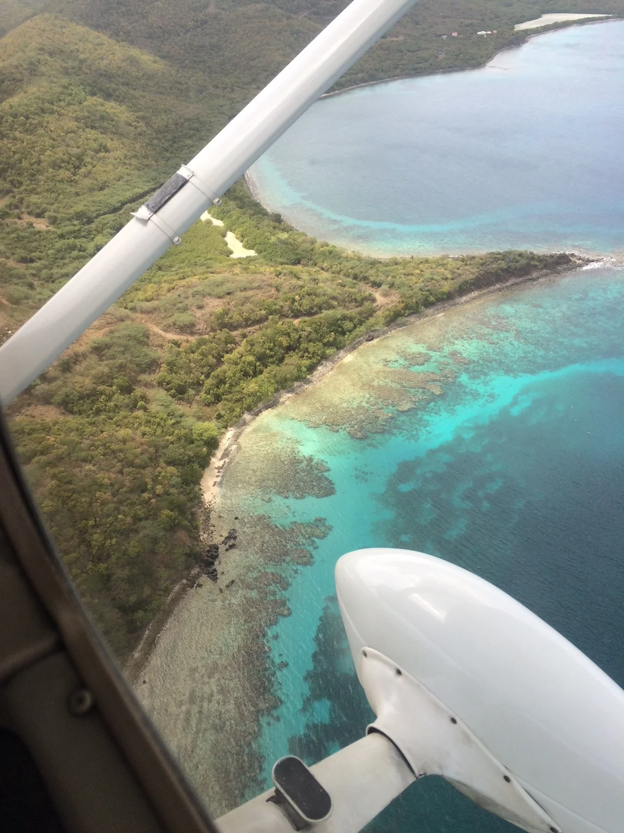 image6.jpeg
