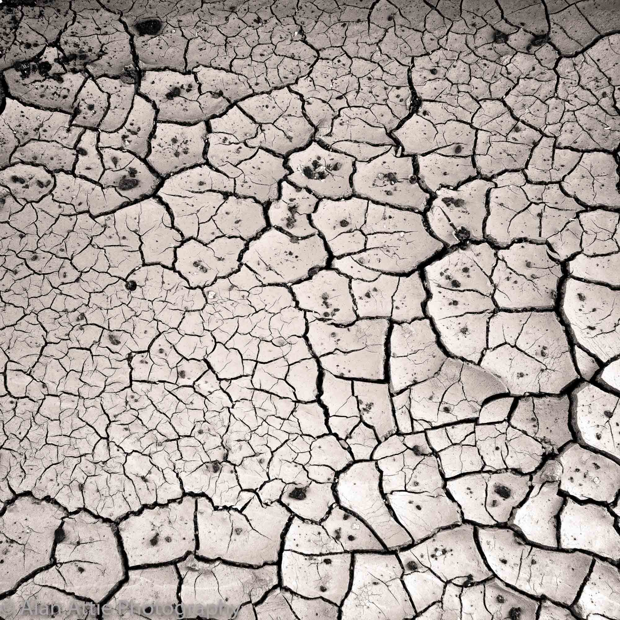 AA Cracked riverbed PRINT square.jpg