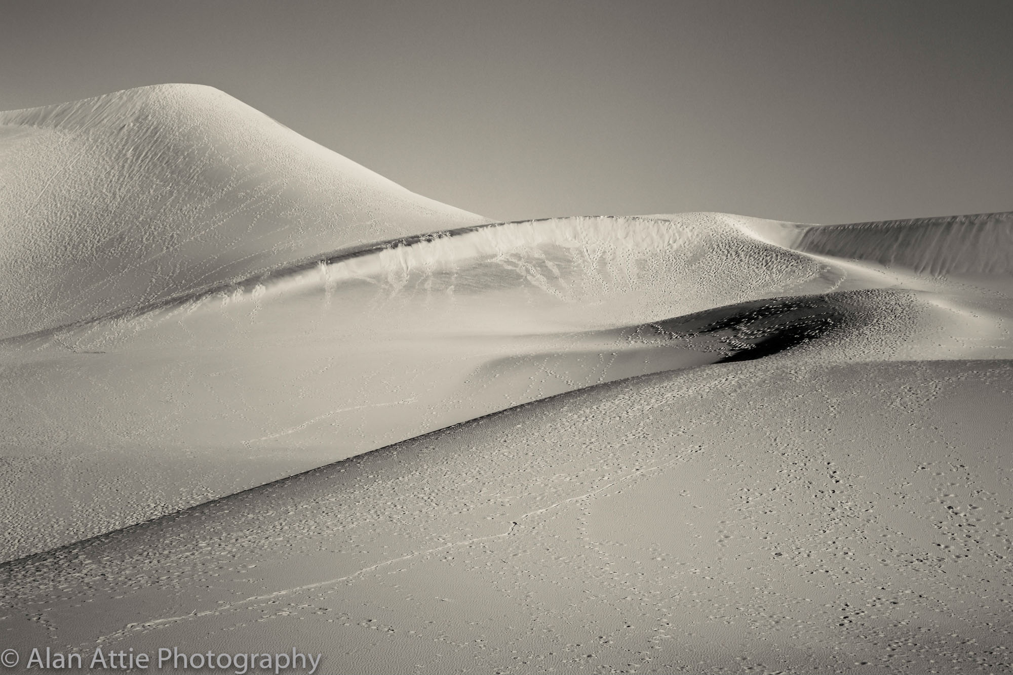 Dunes (Suzanne) MASTERAA untitled-548 PRINTBW copy.jpg