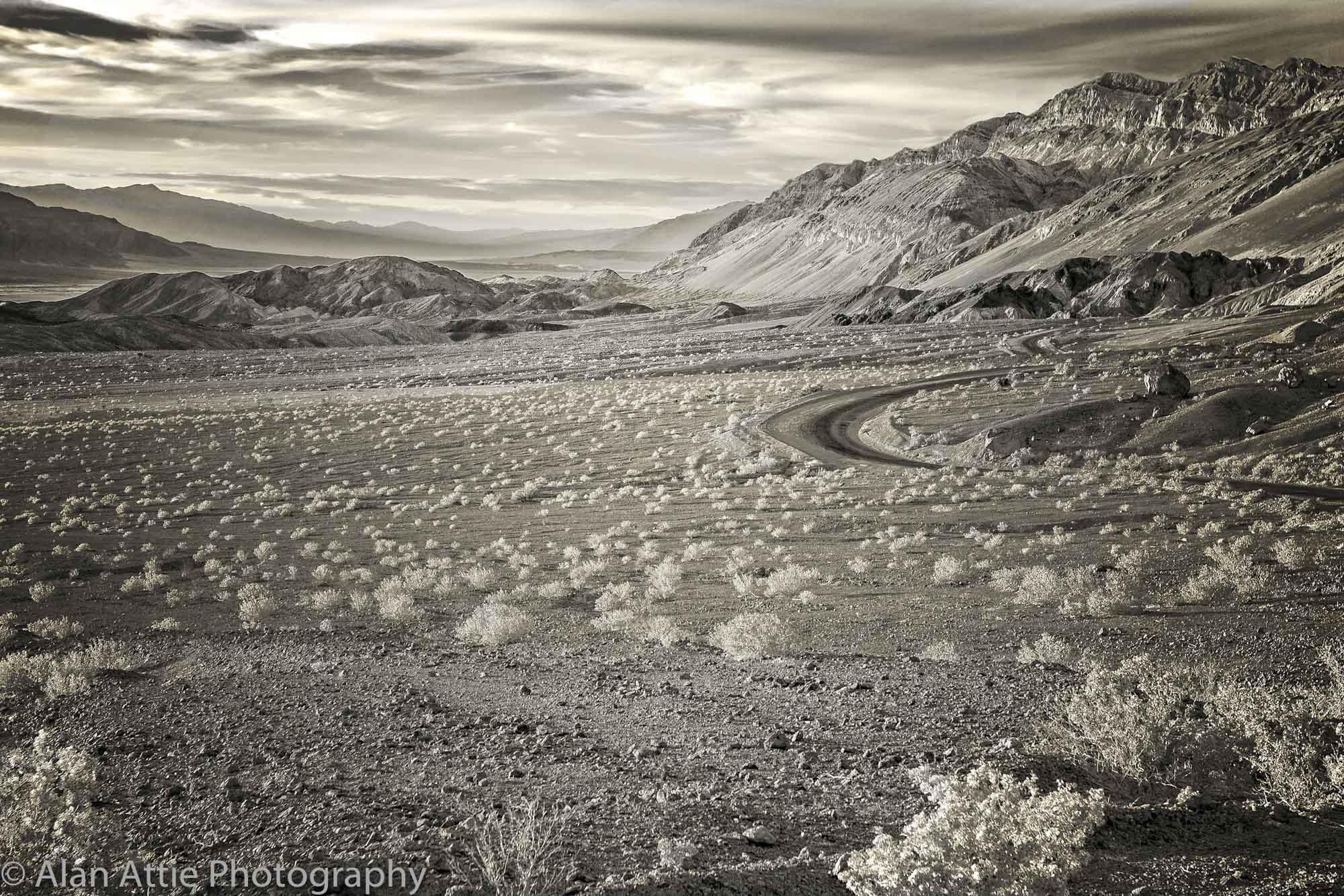 Road & tumbleweed PRINT 1IMG_3128.jpg