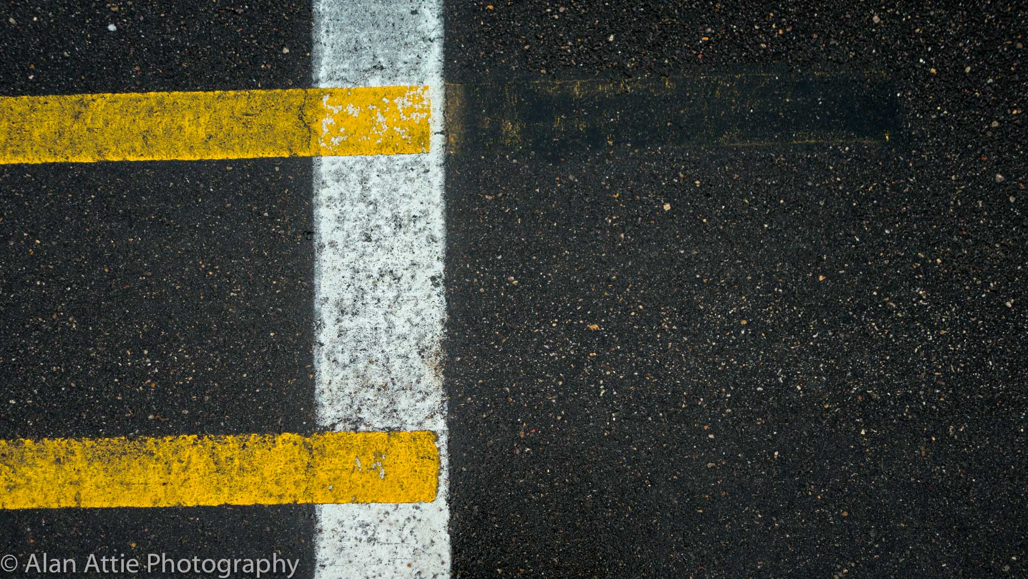 Yellow & white stripe EDIT 1_DSC5614.jpg