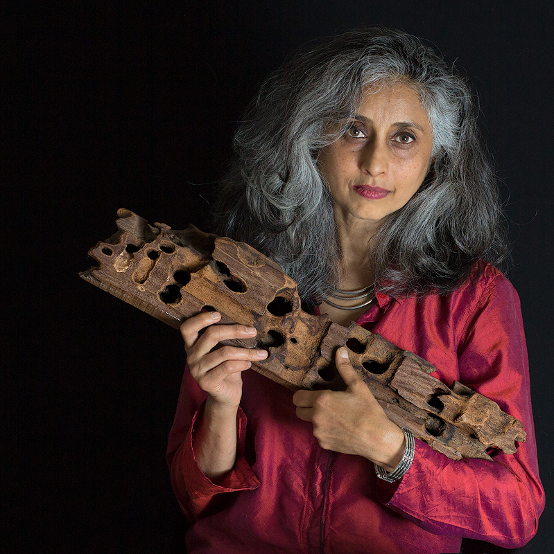 Kalpana Prakash, artist