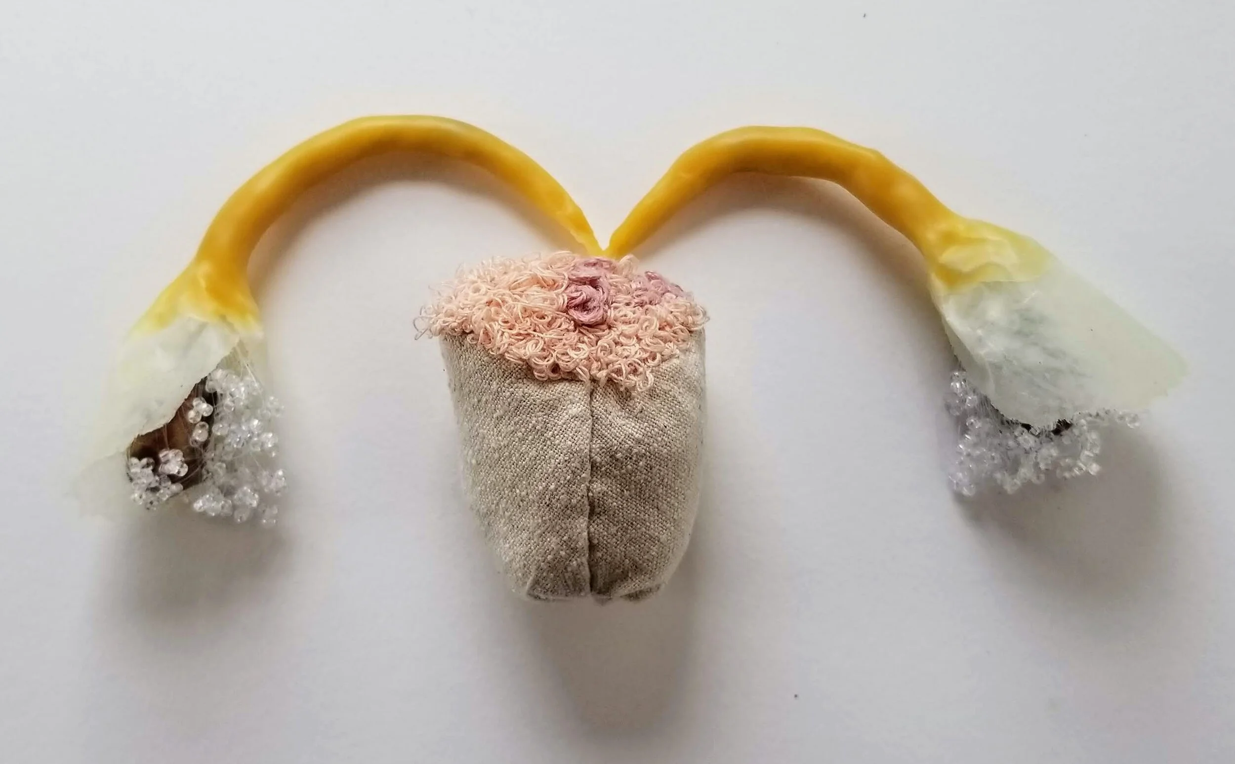 Love Letter to my reproductive system