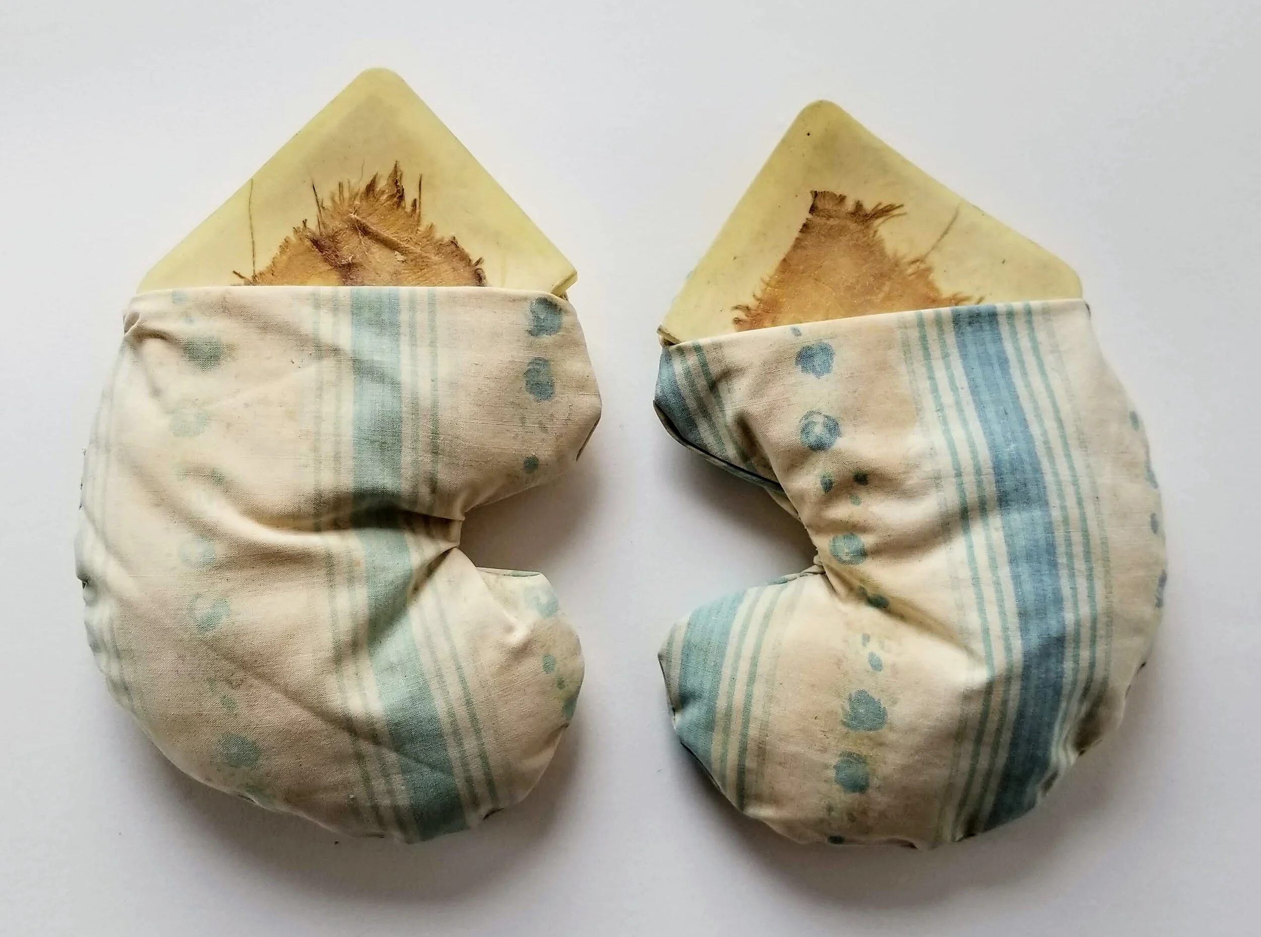 Love Letter to Kidney and Adrenals