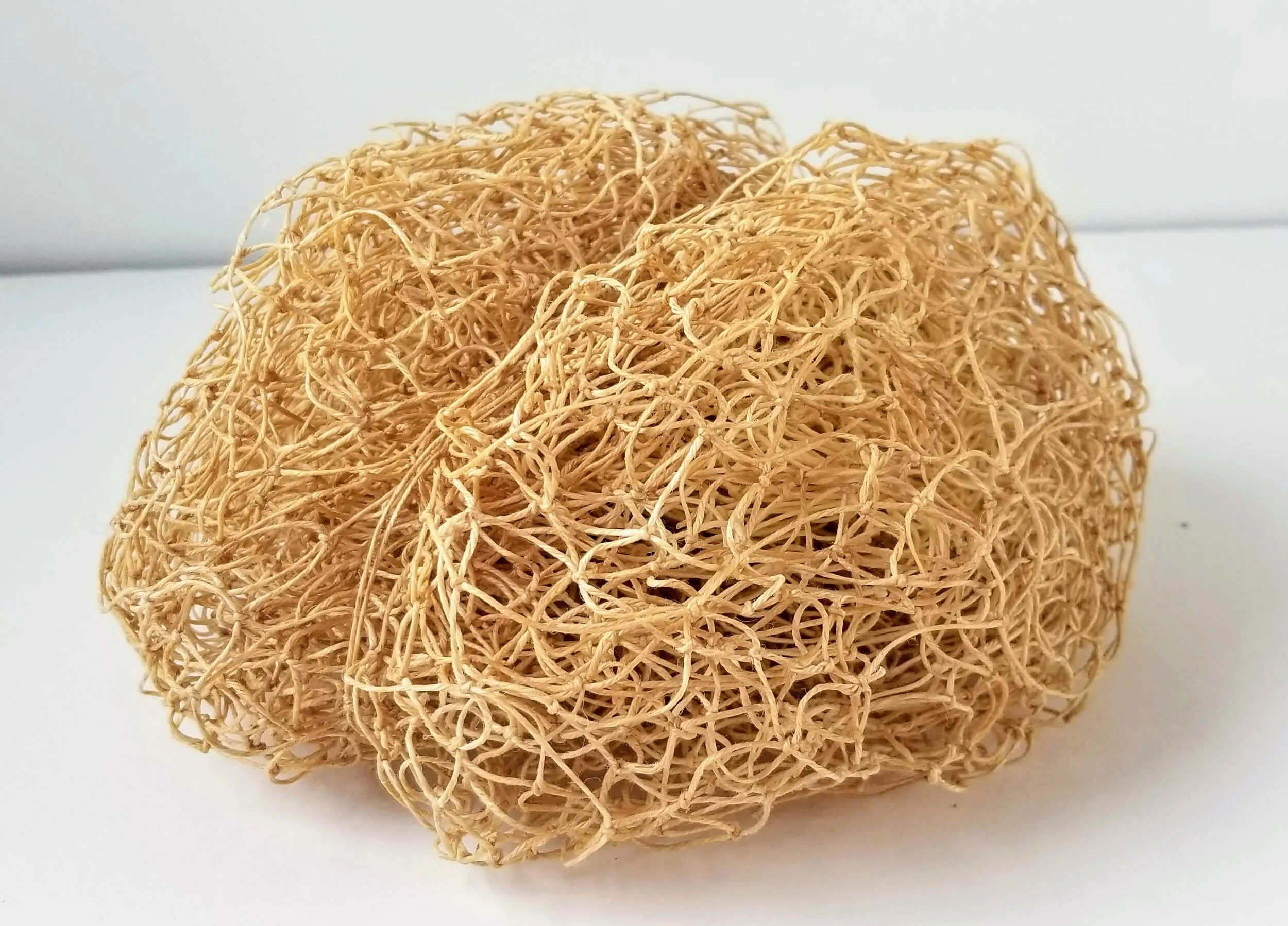 Love Letter to Brain