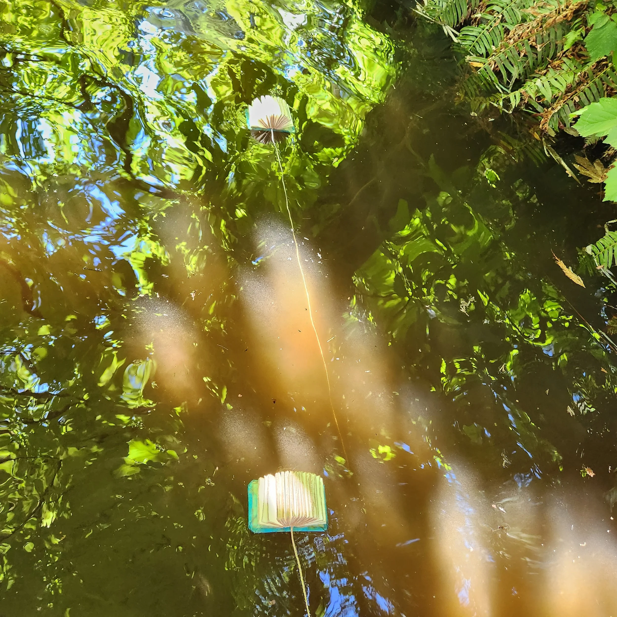 20230811_114021.jpg