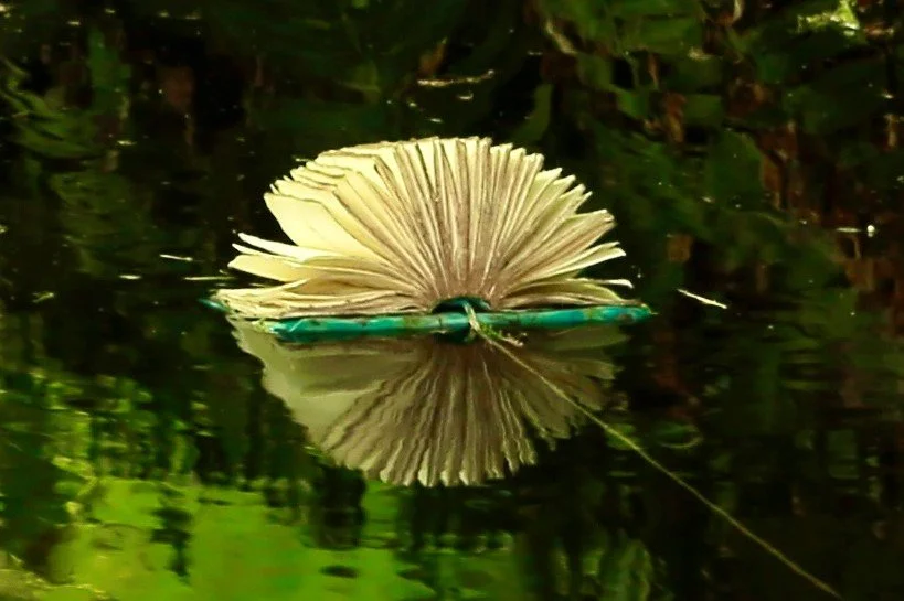 book reflection.jpg
