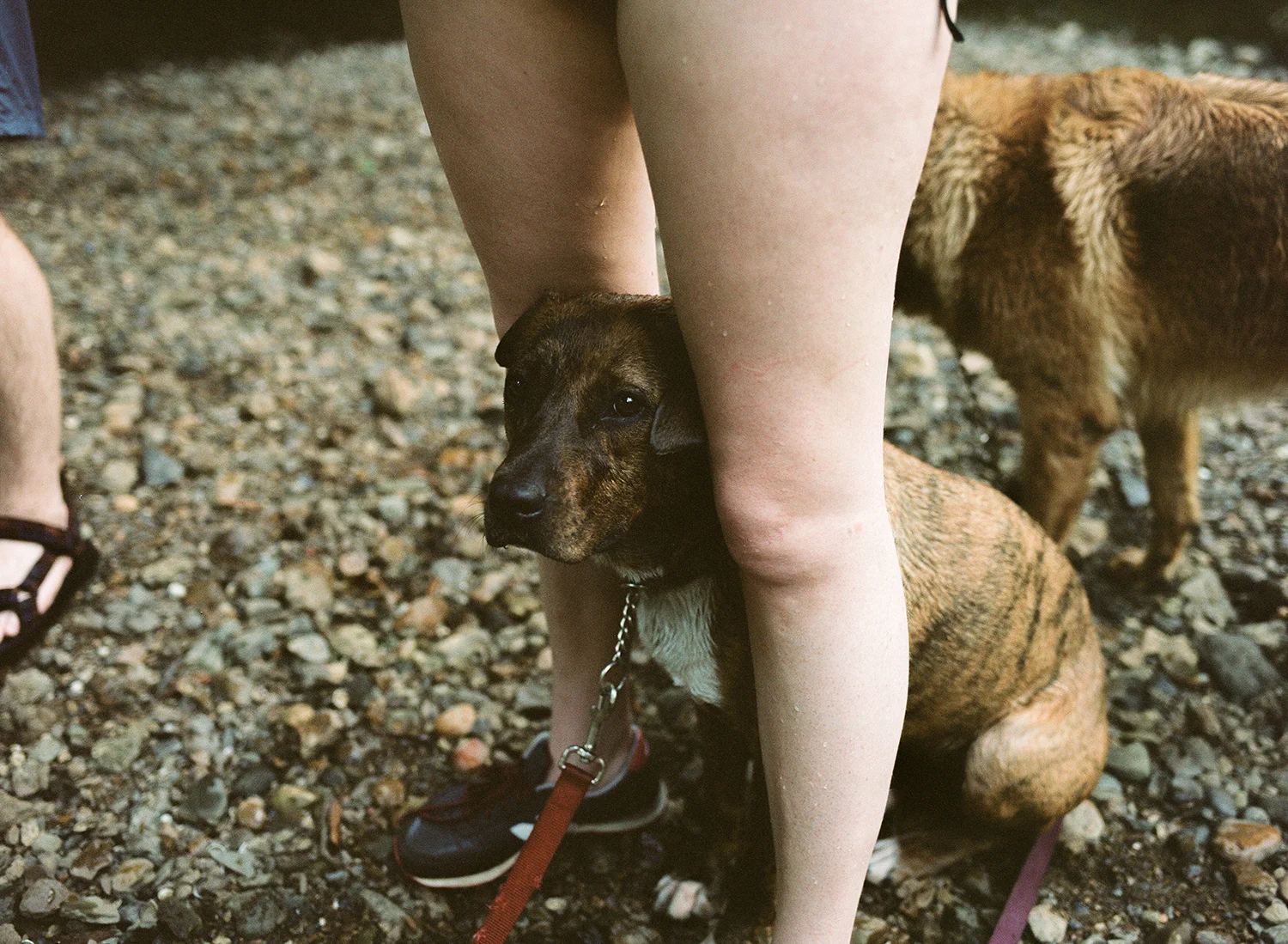 Wes Frazer . July 15, 2014. Jefferson County, Alabama.