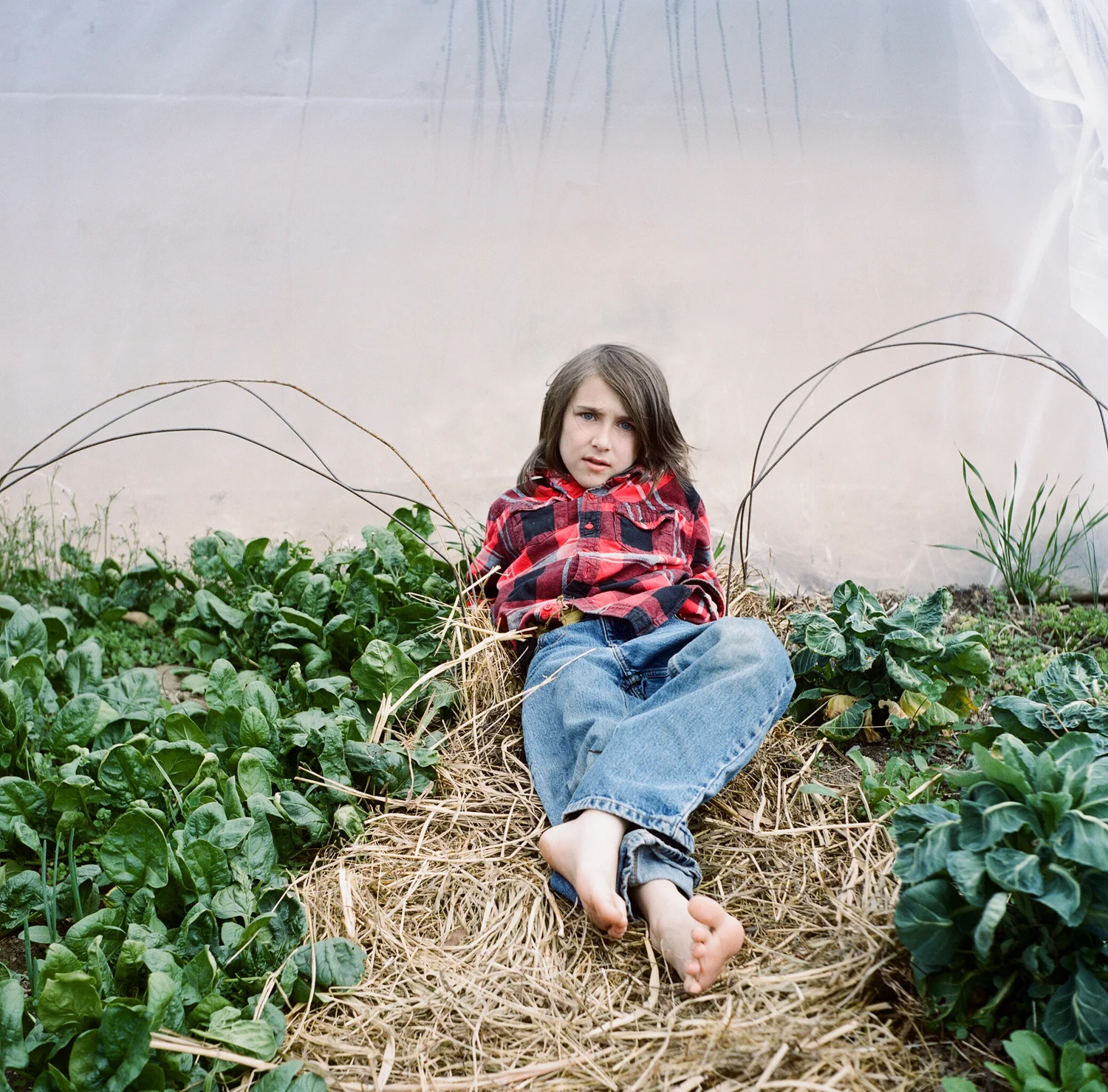 Meg Wilson . March 15, 2014. Berea, Madison County, Kentucky.