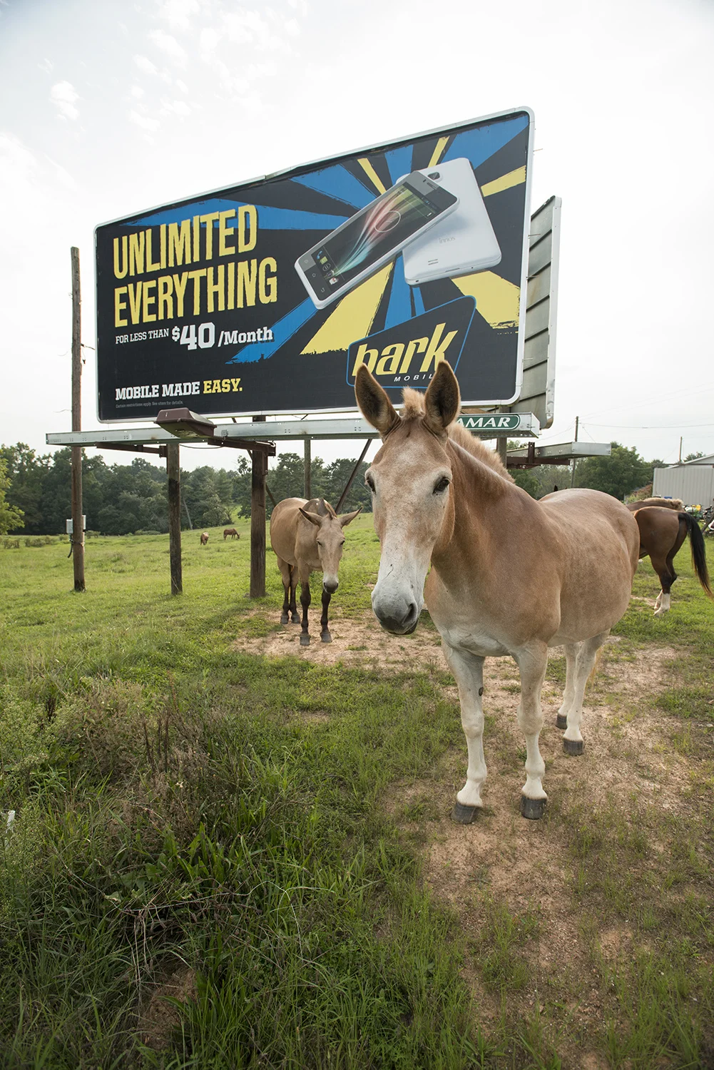 Mike Baker . August 17, 2014. Sawmills, Caldwell County, North Carolina.