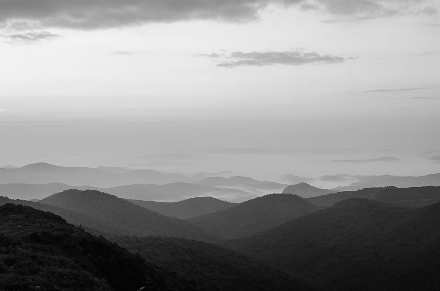Kevin Eaves. July 11, 2014. Tennent Mountain, near Shining Rock Wilderness Area. East Fork, Transylvania County, North Carolina.