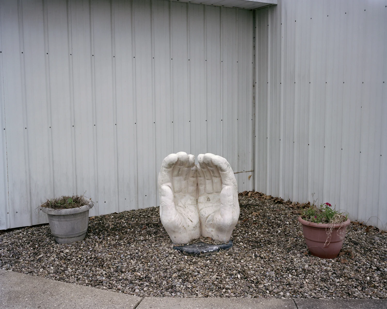 Michael Sherwin . June 10, 2014. Albany, Athens County, Ohio.